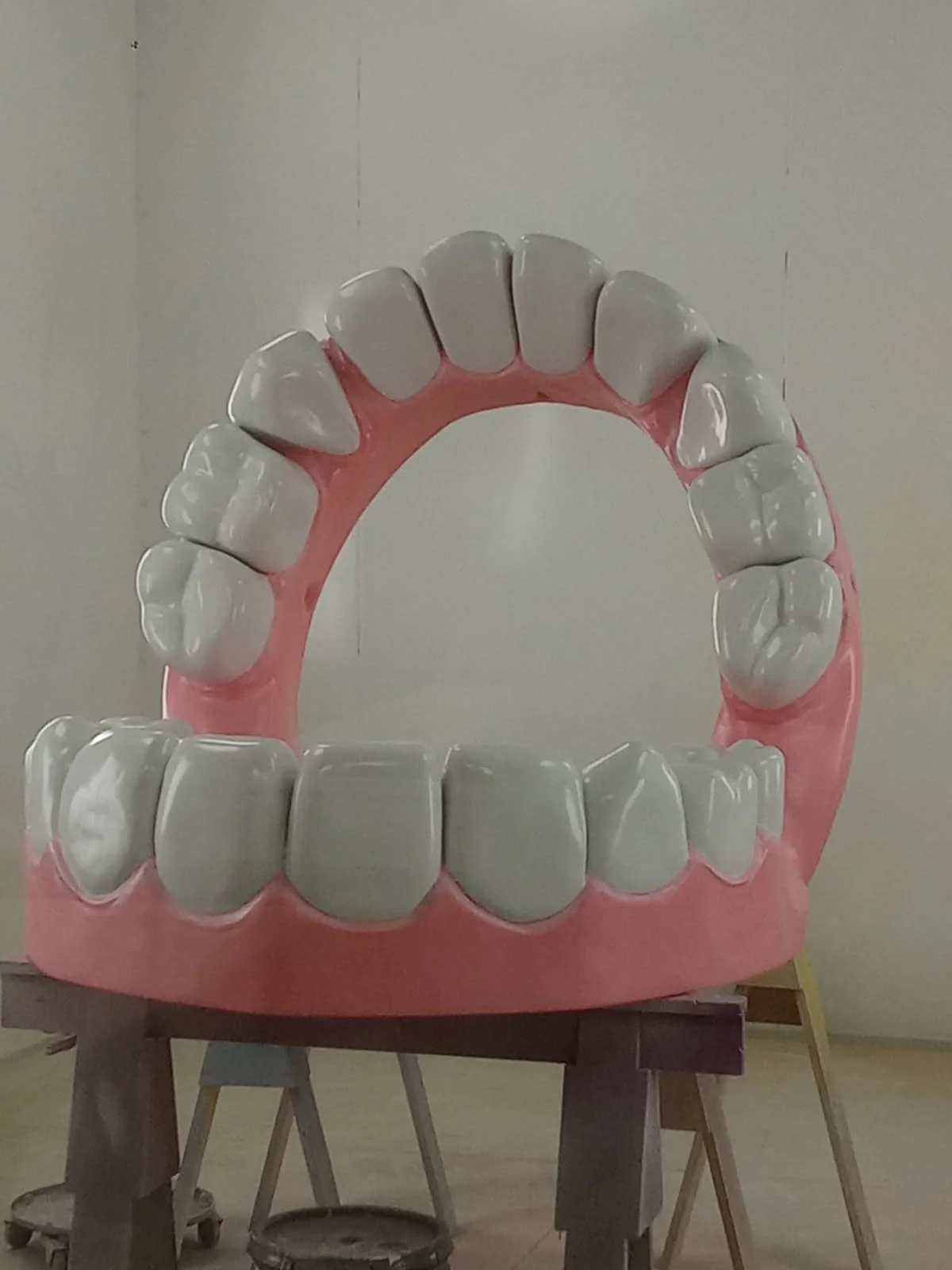 Teeth