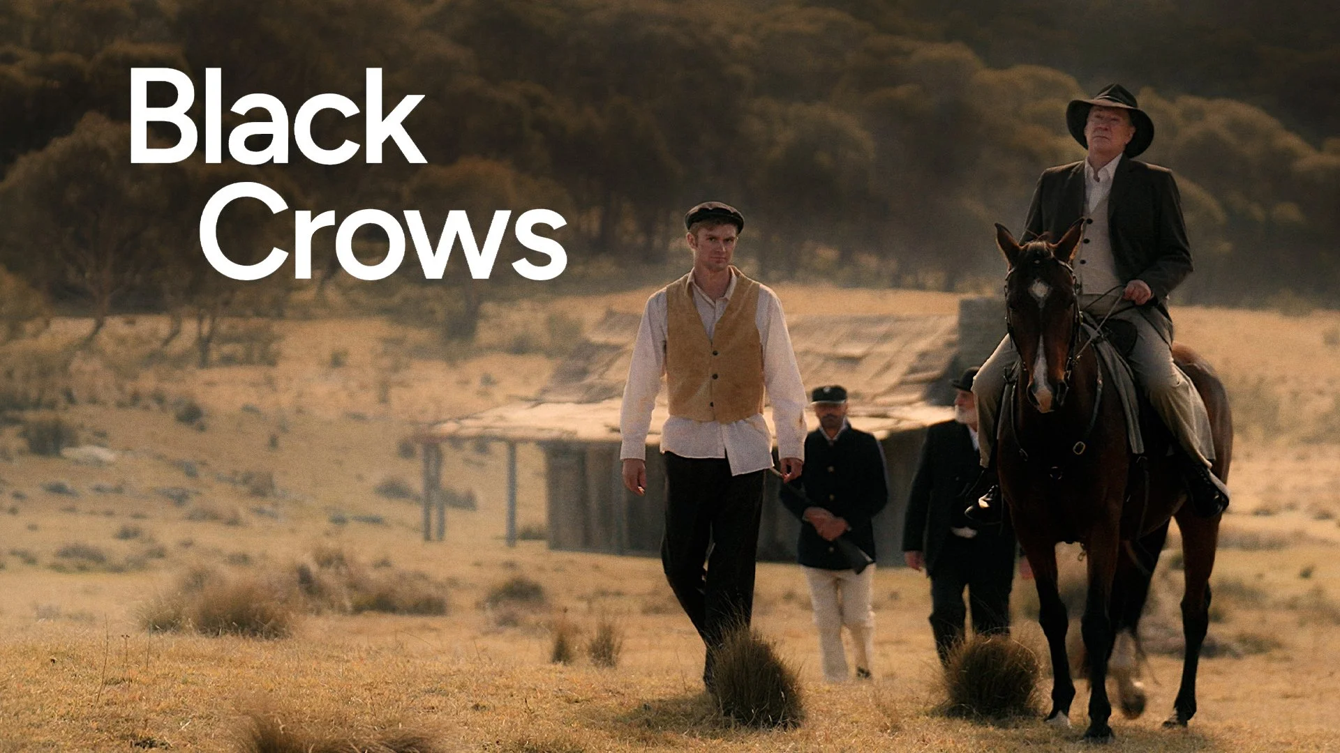 Black Crows / Short Film