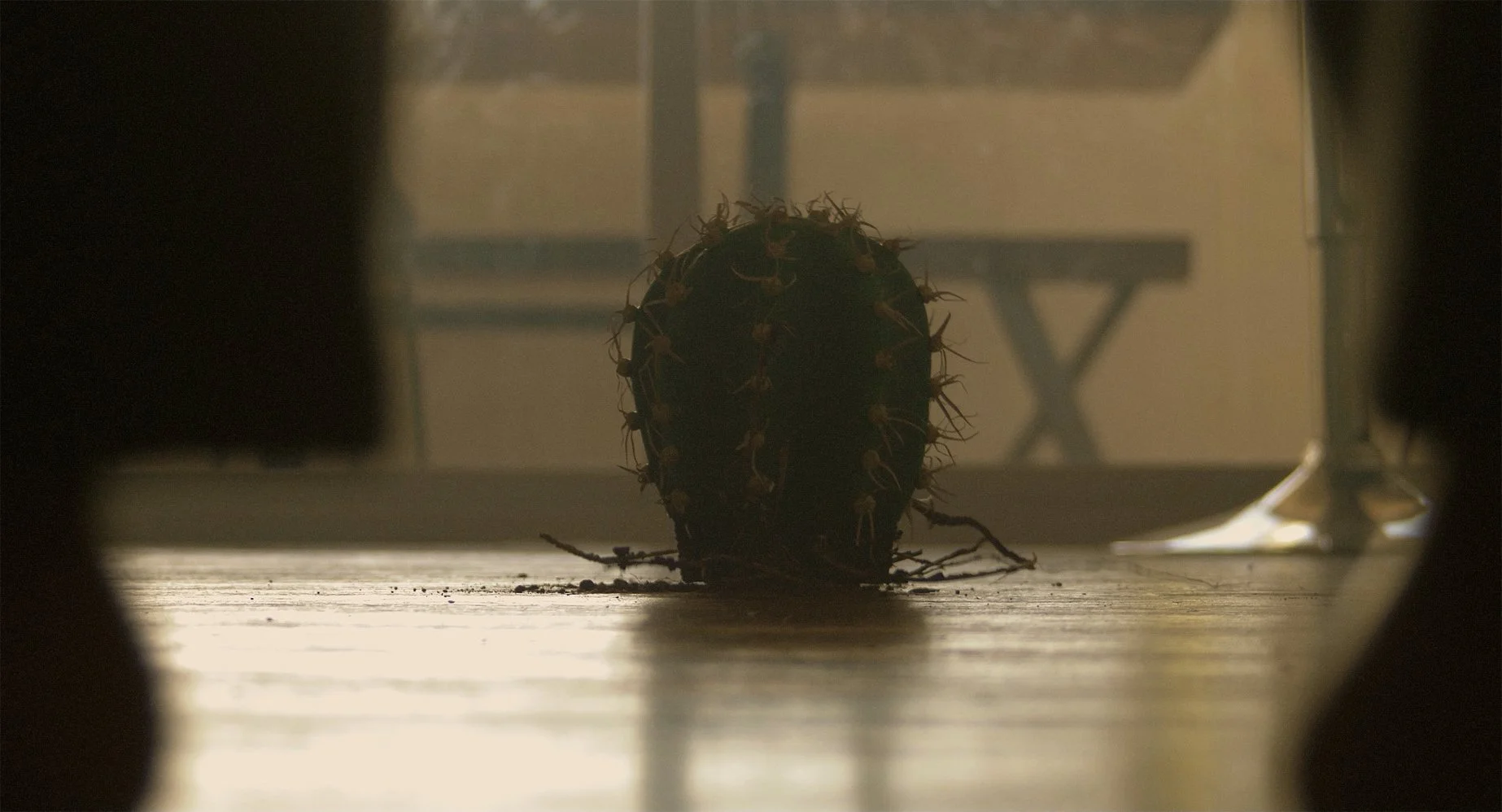 On the Nature of Growth - Final Cut.00_00_38_11.Still001.jpg