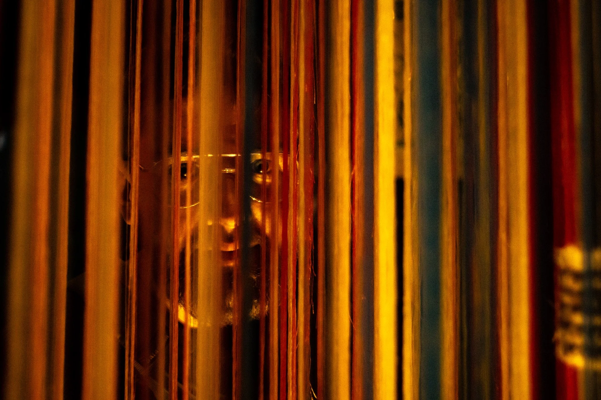 DSC09490.jpg