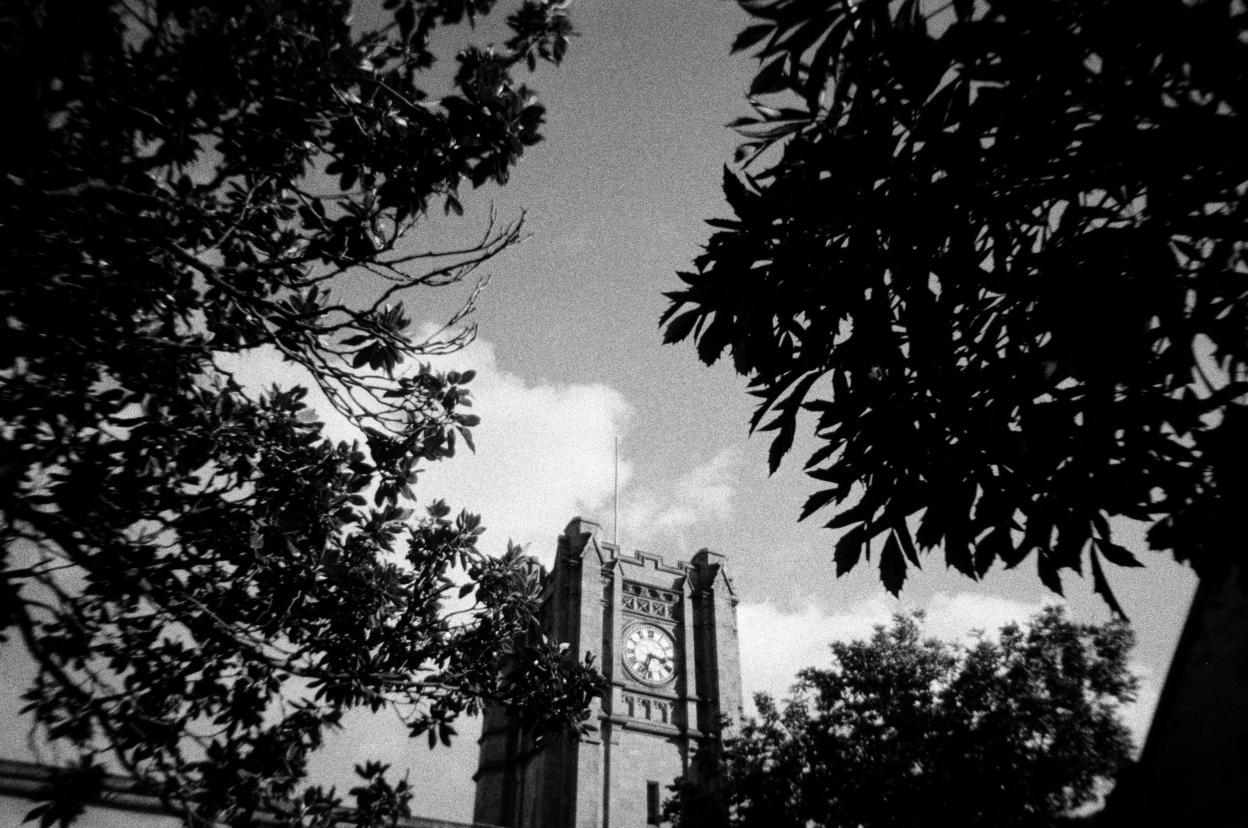 20250806-000445270012.jpg