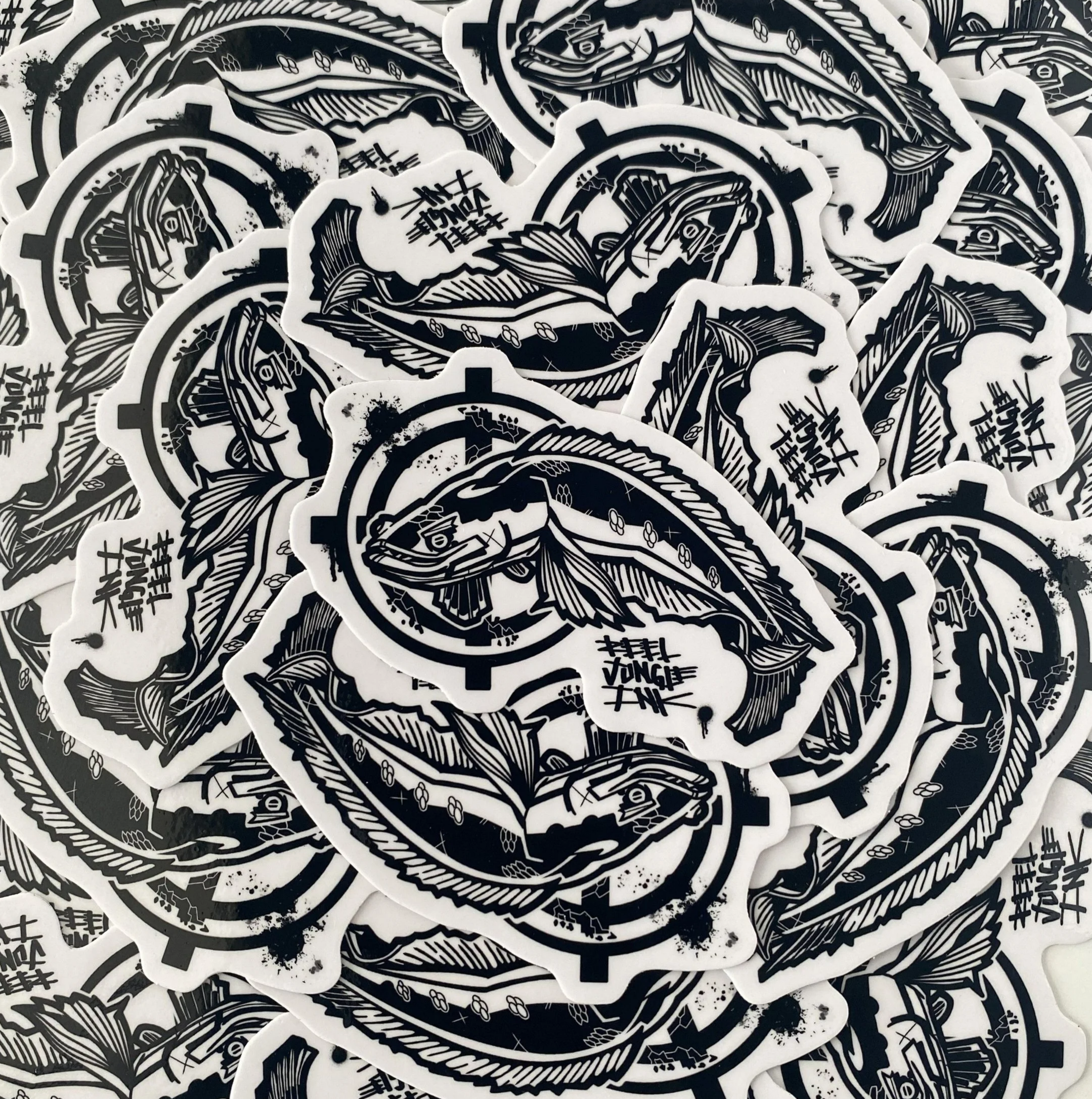 Scatter_IMG_6622.png