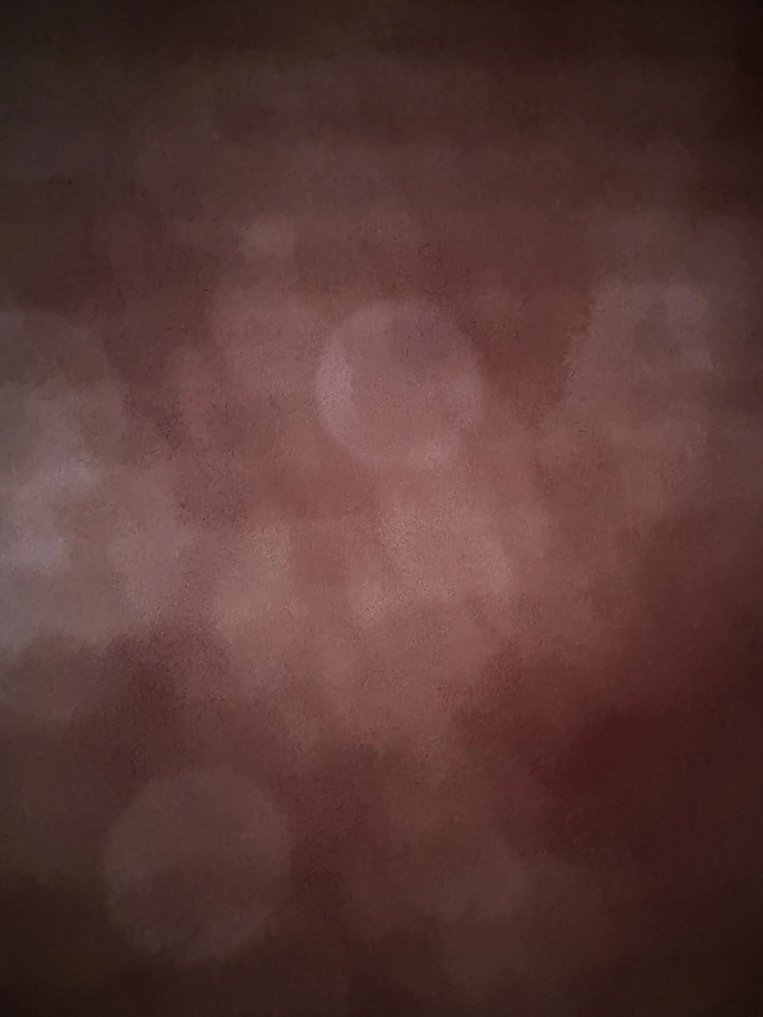 IMG_2300.jpeg