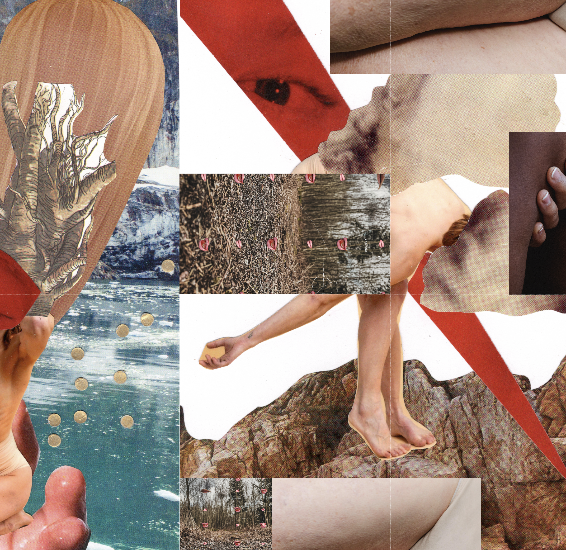 Collage of various images including a person's body, close-up of skin, a hand, a lake scene, and patches of nature with pink flamingos.