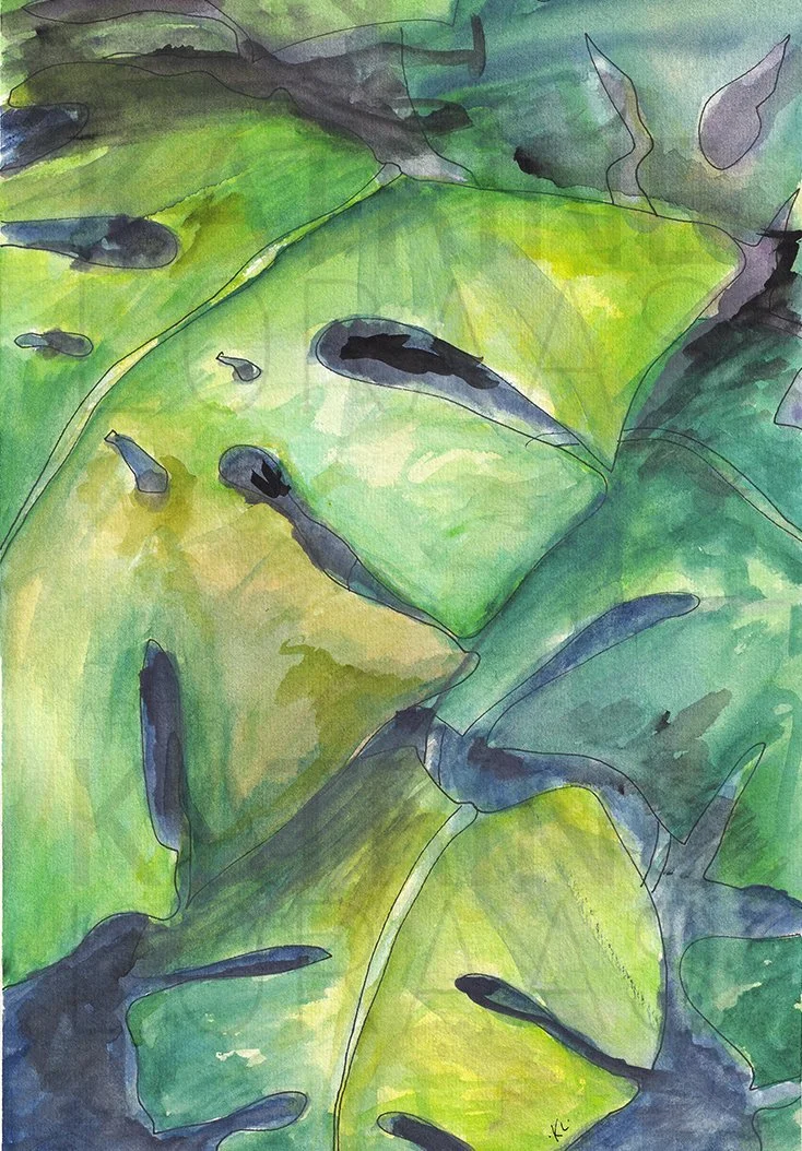 Monstera 3