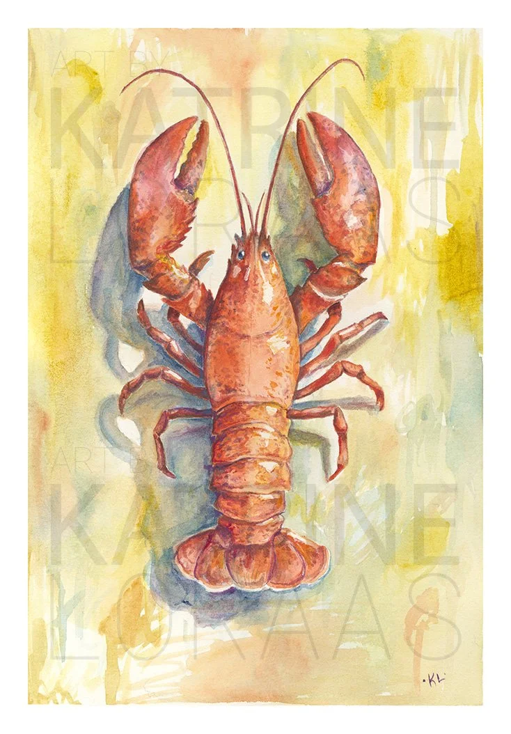 Lobster