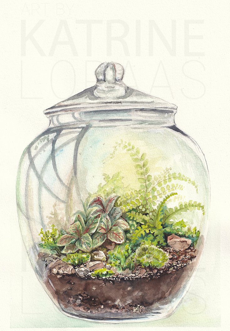 Terrarium