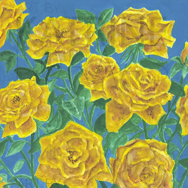 Yellow Roses // Watercolour // 210 x 210mm // Prints Available // Original and prints for sale at Church Stretton Arts Festival