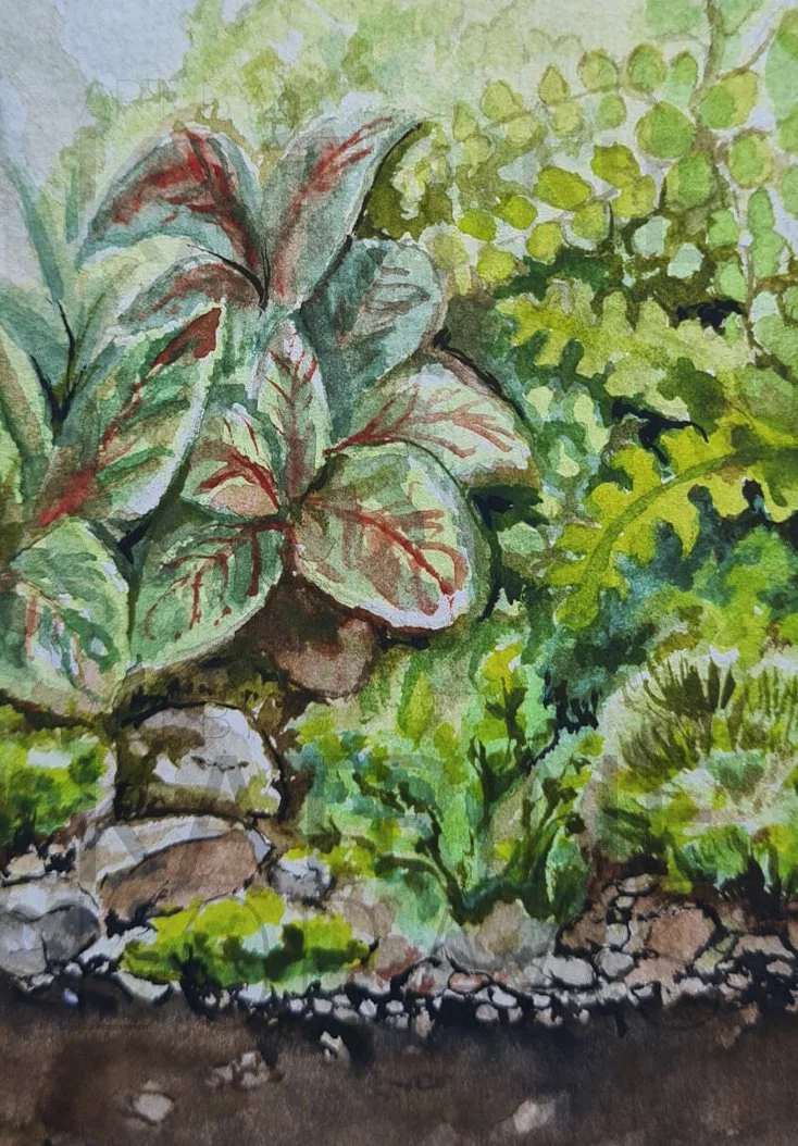 kloraas_Resamp_terrarium3.jpg