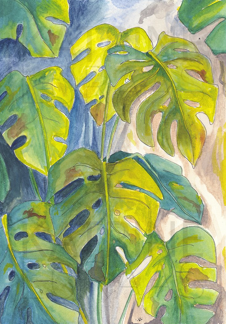 Monstera 2 // Watercolour //  SOLD // 297 x 420 mm //