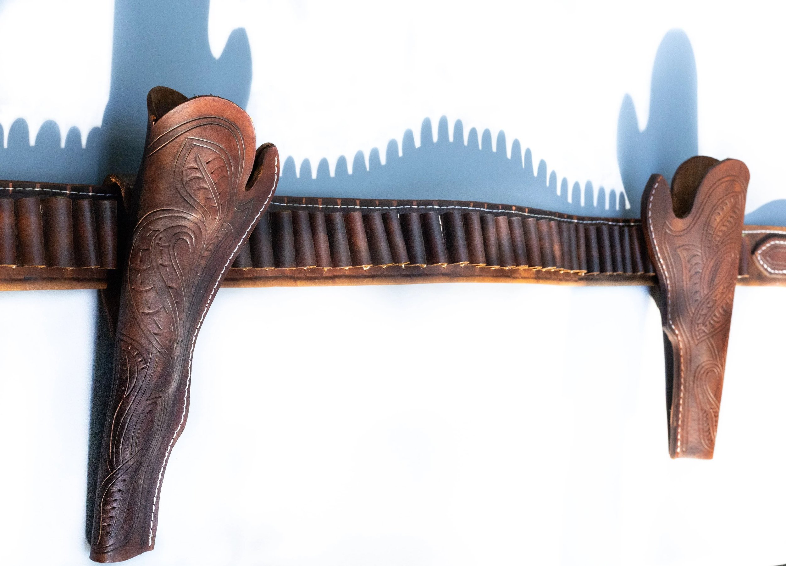 Double Holster