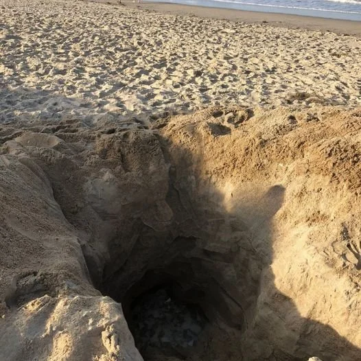 Rapid Response &amp; Extrication Protocols for Sand Hole Collapses