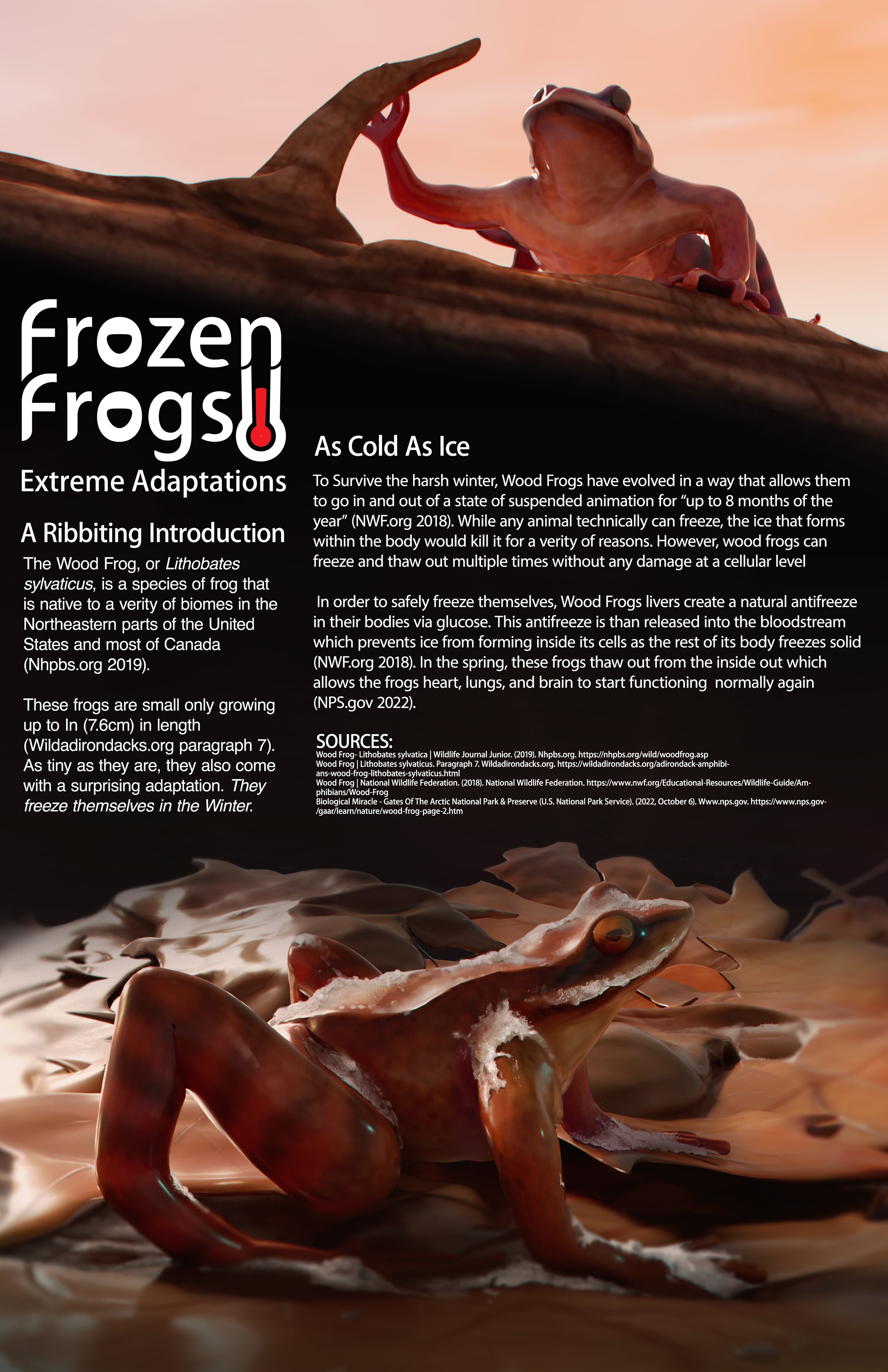 frog layout 11 17 copy.jpg