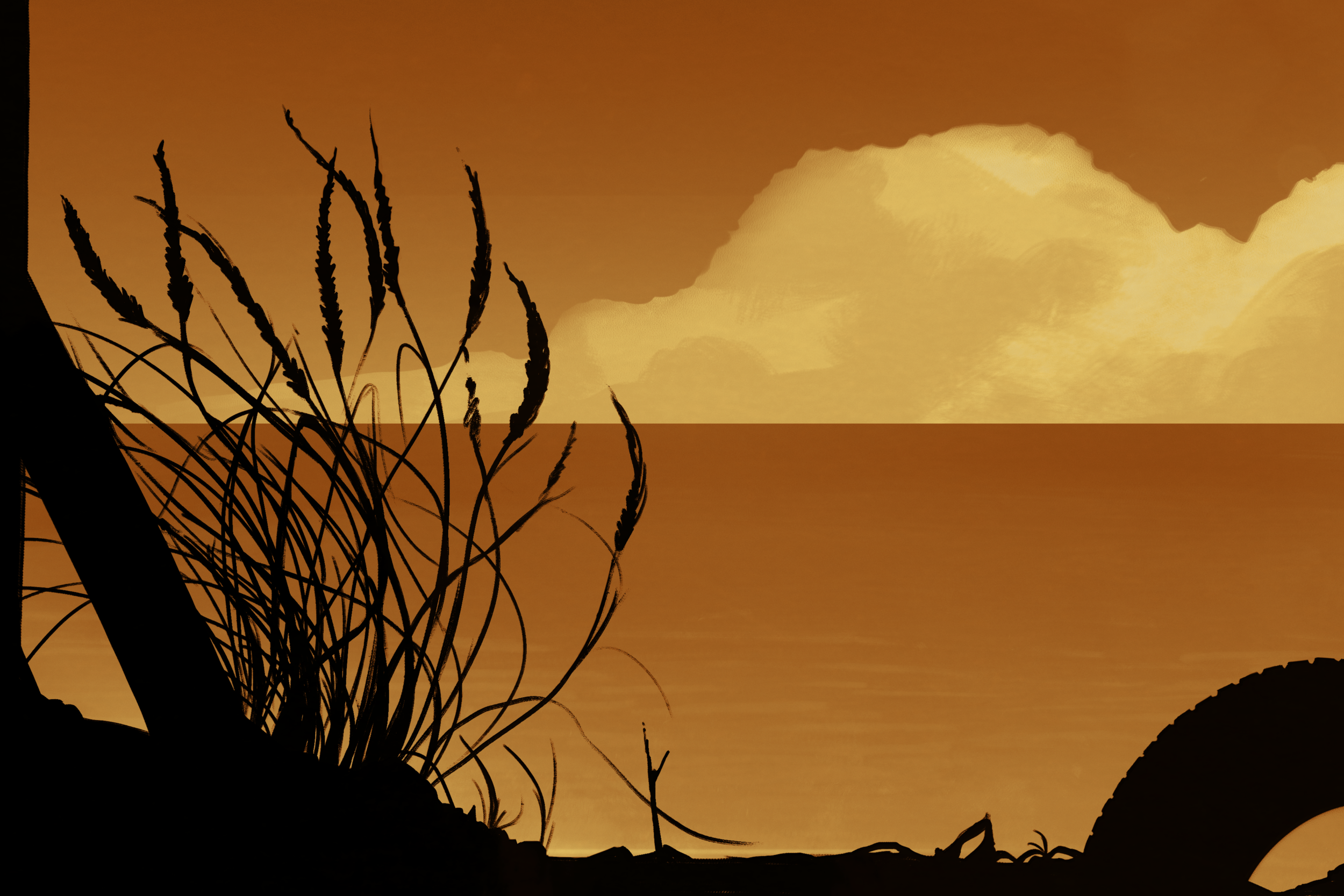 IMG_2393.PNG