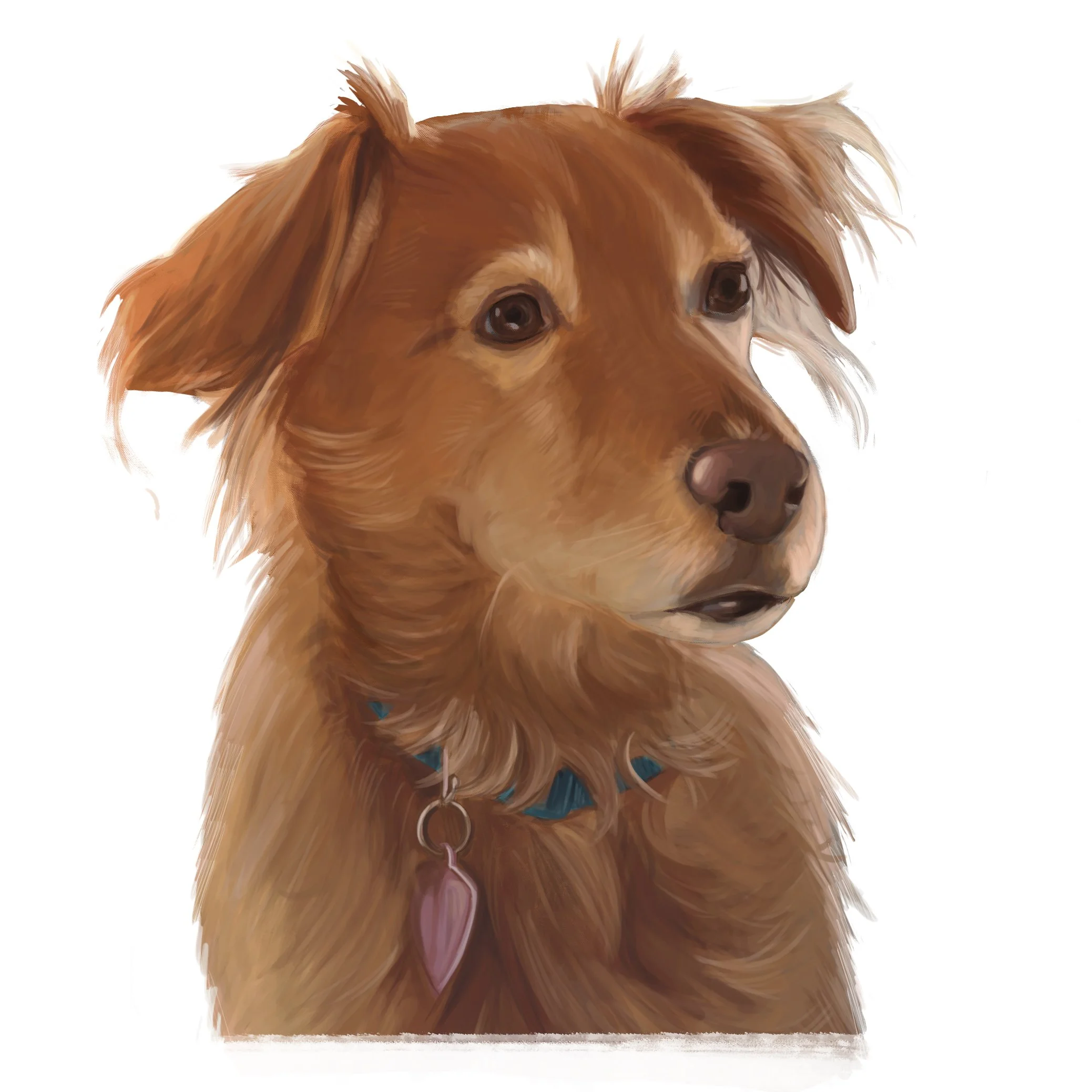 dog2 copy 2.jpg
