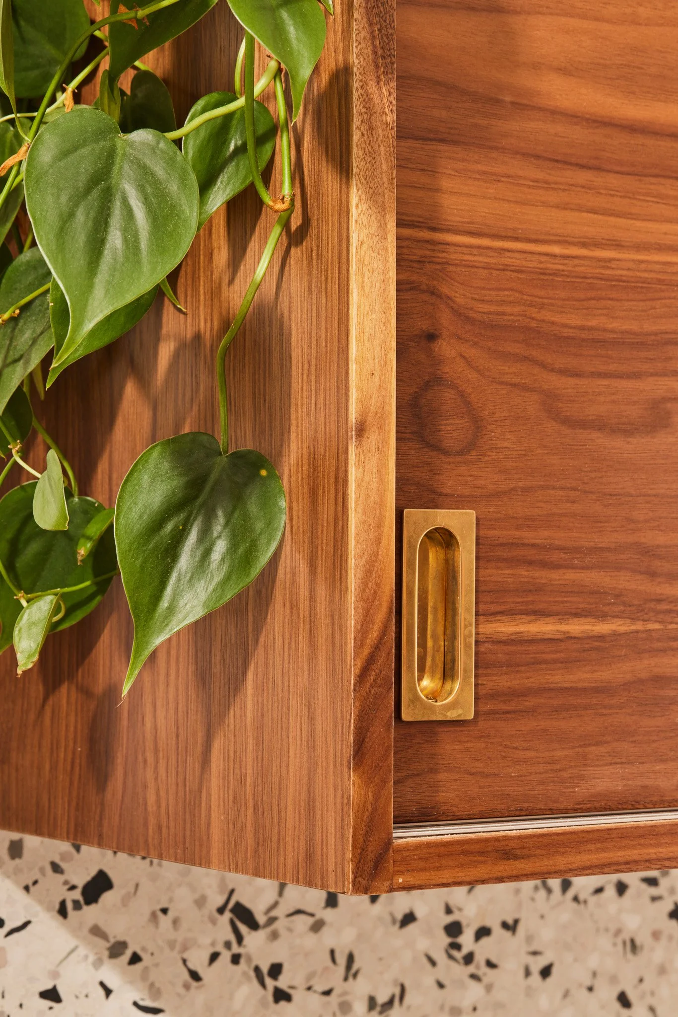 Close-up of a wooden cabinet with a brass handle, decorated with green heart-shaped leaves from a potted plant.
