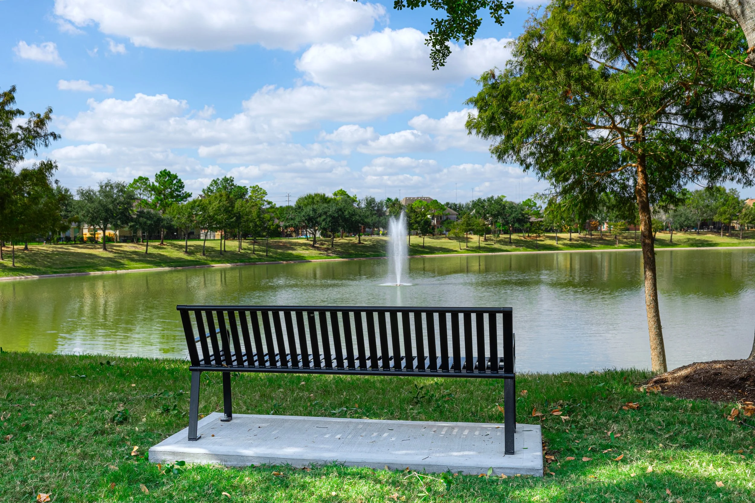 Landscape Pearland-23.jpg