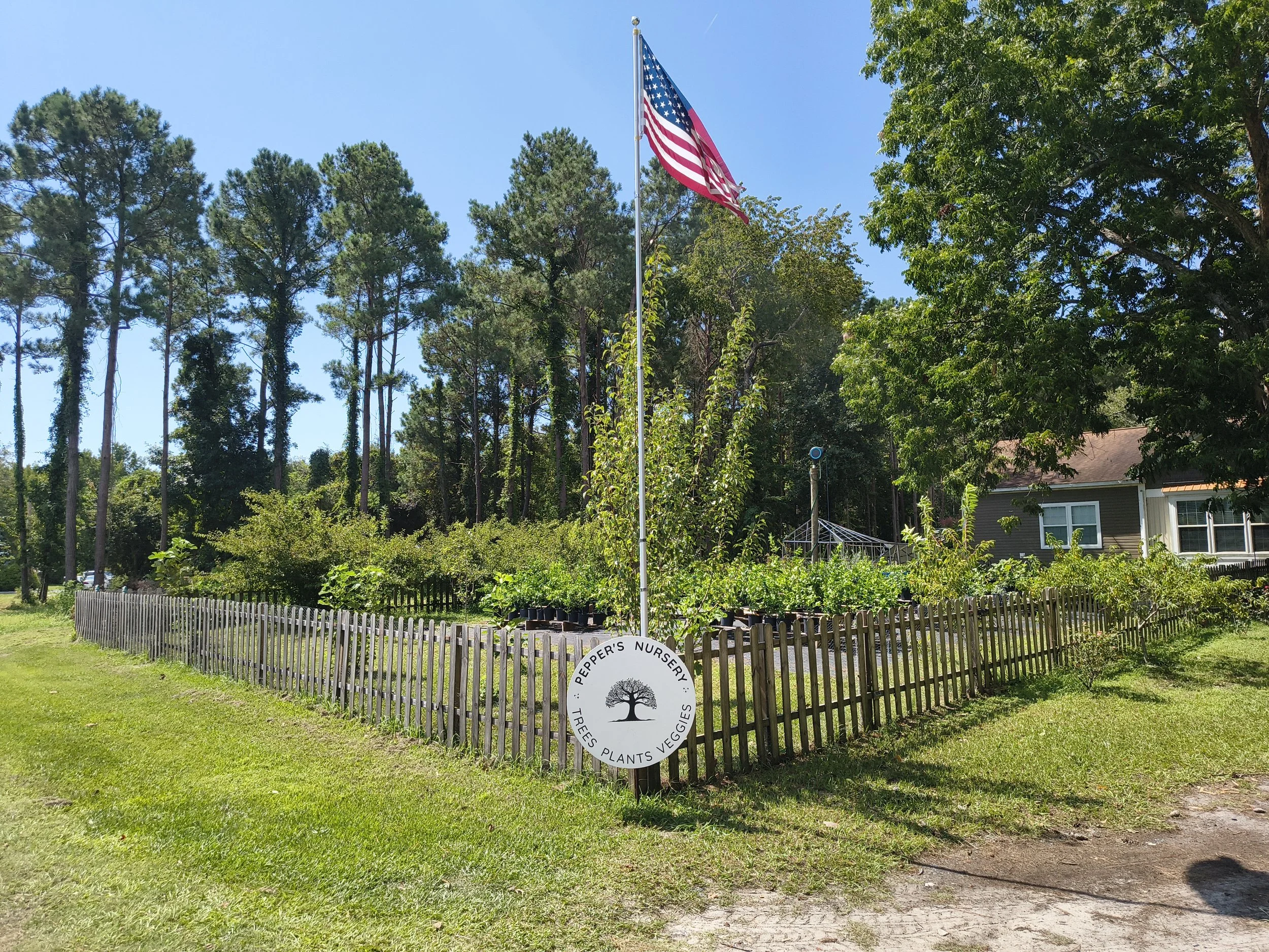 Pepper’s Nursery sign beneath an American flag, with rows of trees behind the fence in Holly Ridge, NC.