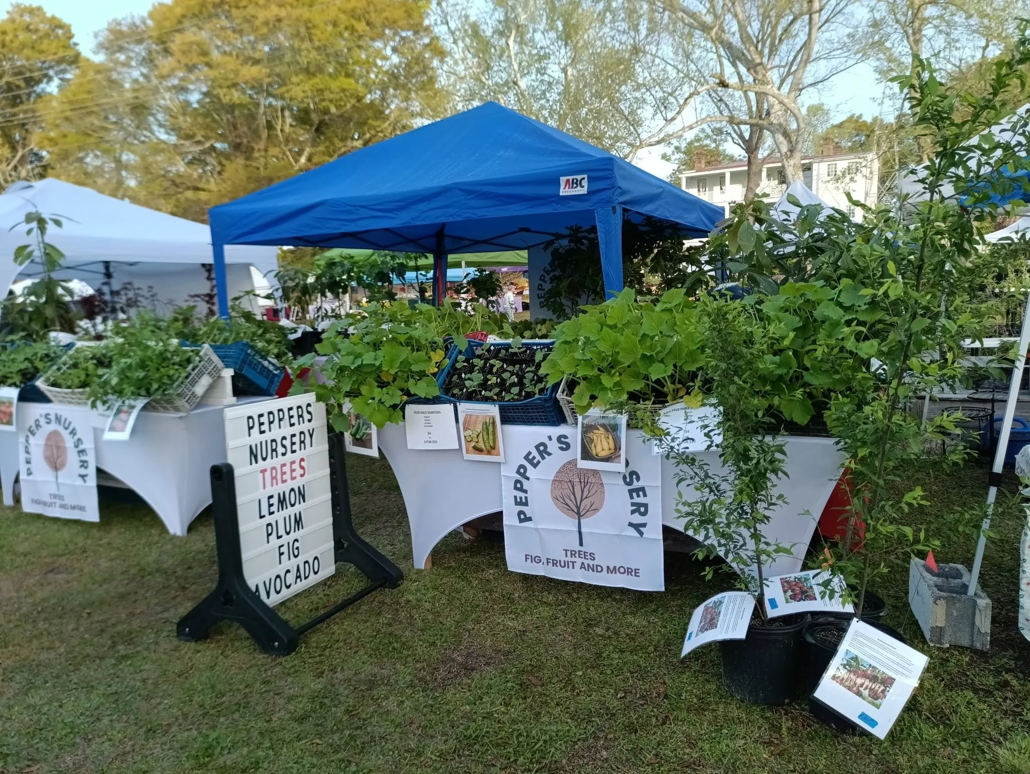 Pepper’s Nursery market booth with fruit trees, seedlings, and nursery signs beneath a blue canopy.