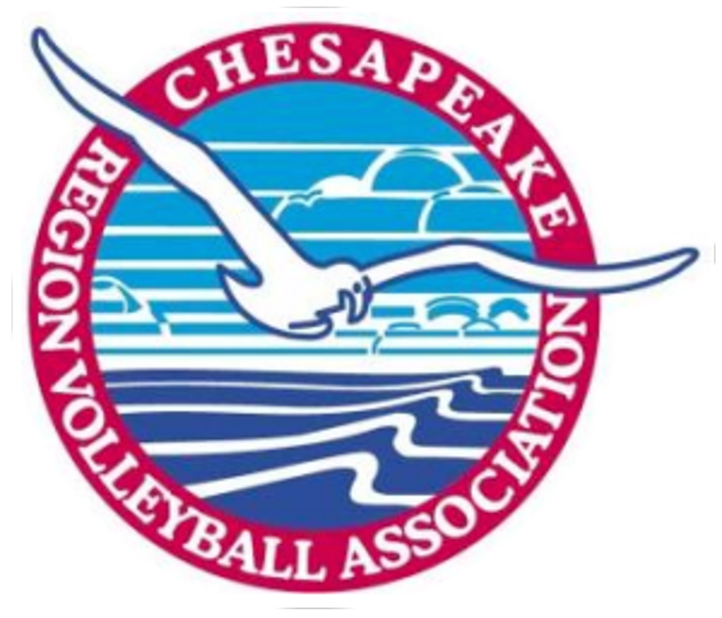 Chesapeake Volleyball Association logo featuring a seagull flying over stylized ocean waves and a sunset.