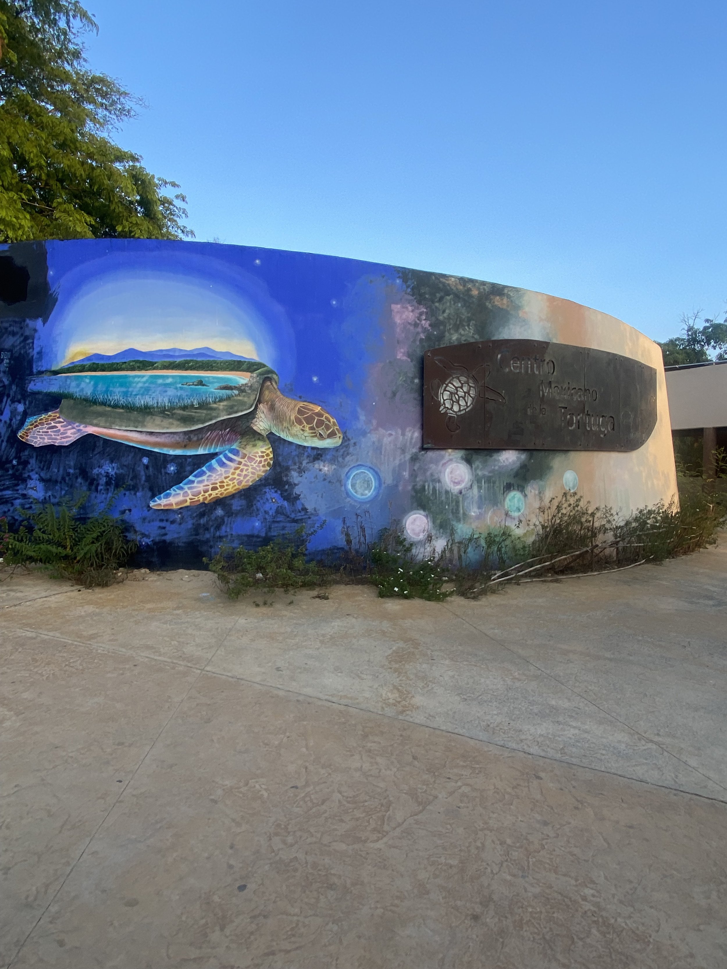 A colorful mural featuring a sea turtle and a scenic landscape behind it, with a metal plaque on the right side that reads 'Centro Mexicano de la Tortuga'.