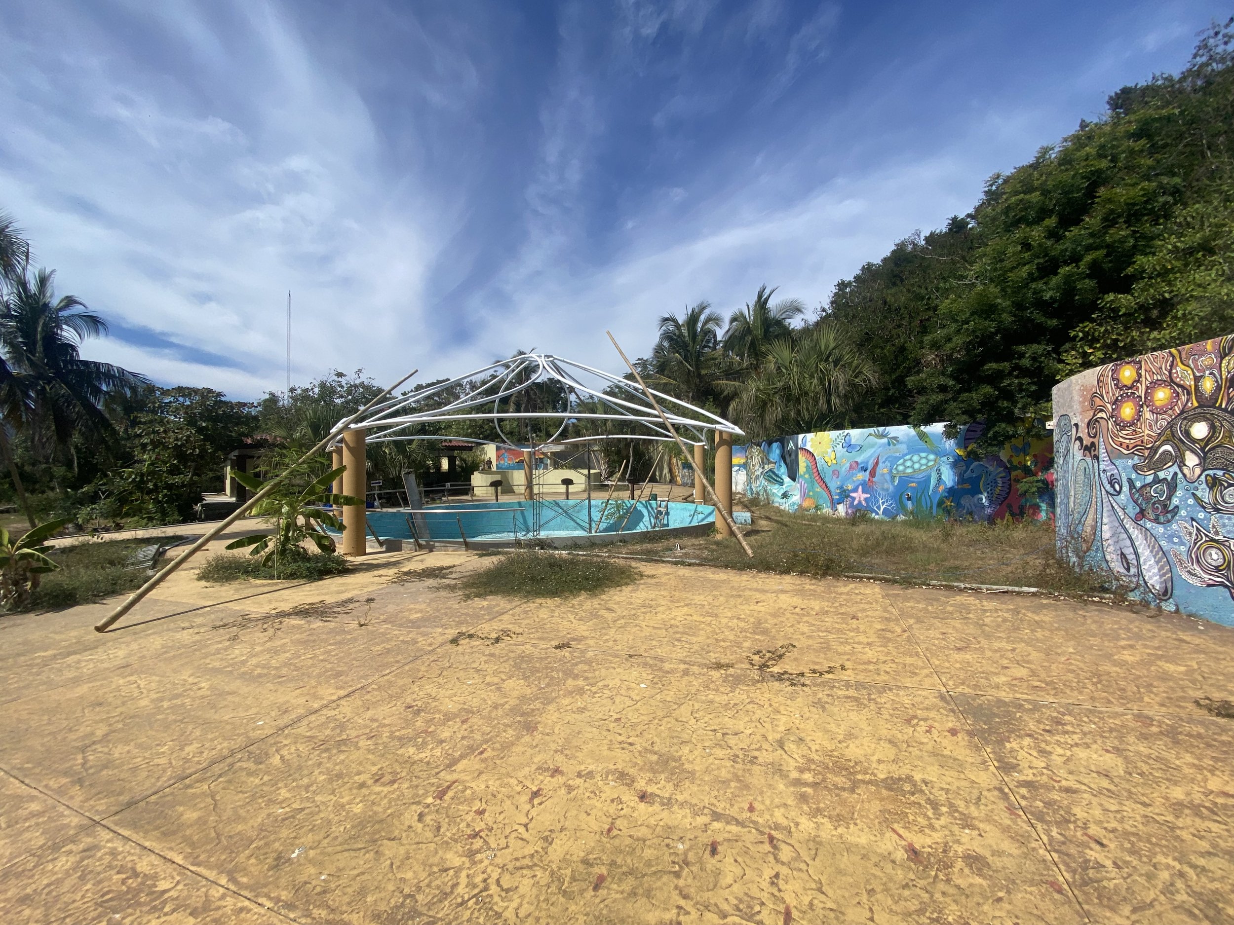 An outdoor scene with a clear blue sky, tropical trees, a colorful mural, and a partially constructed structure around a pool or water feature.