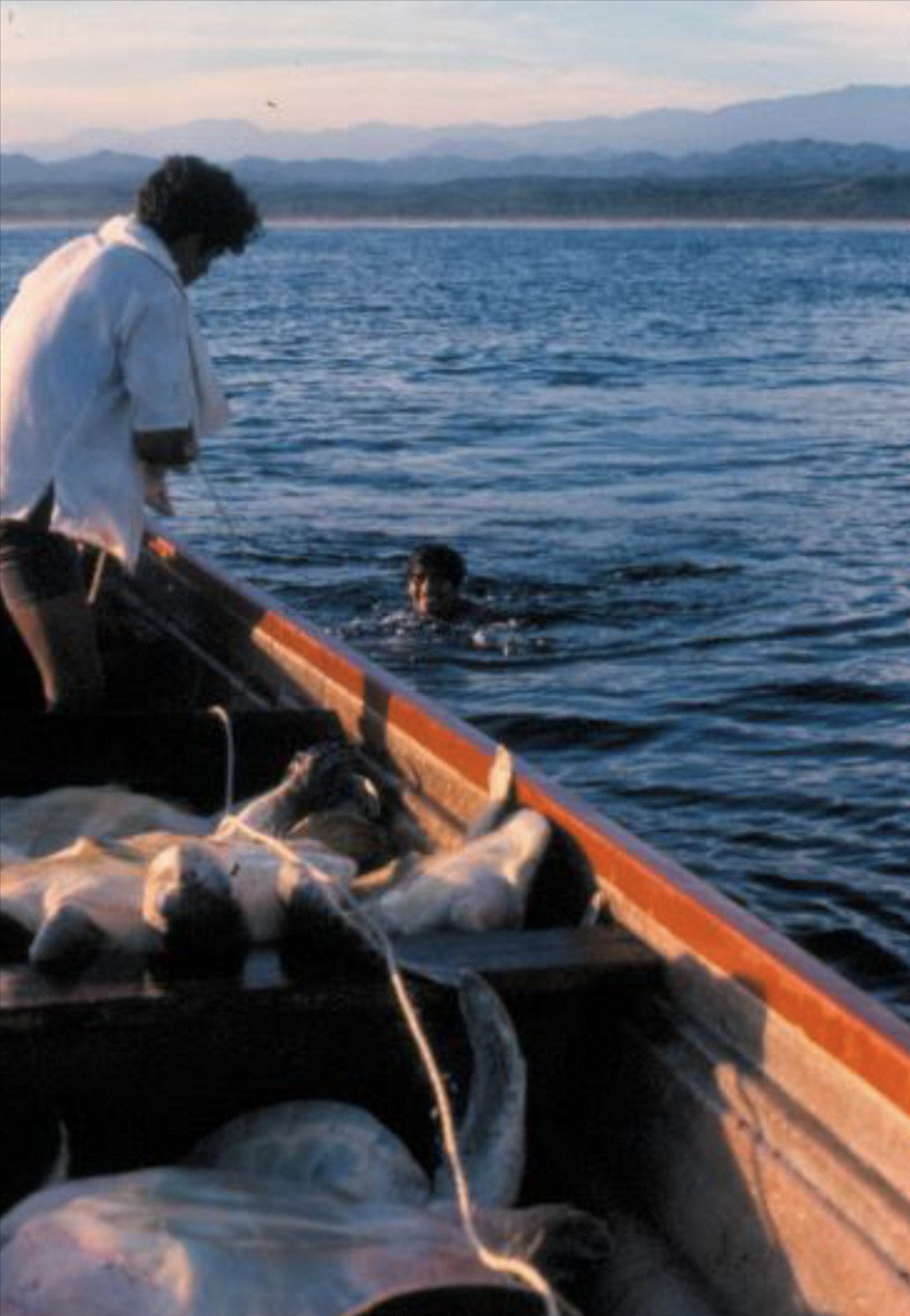 A person on a boat fishing in a large body of water with mountains in the background and a pink cloudy sky.