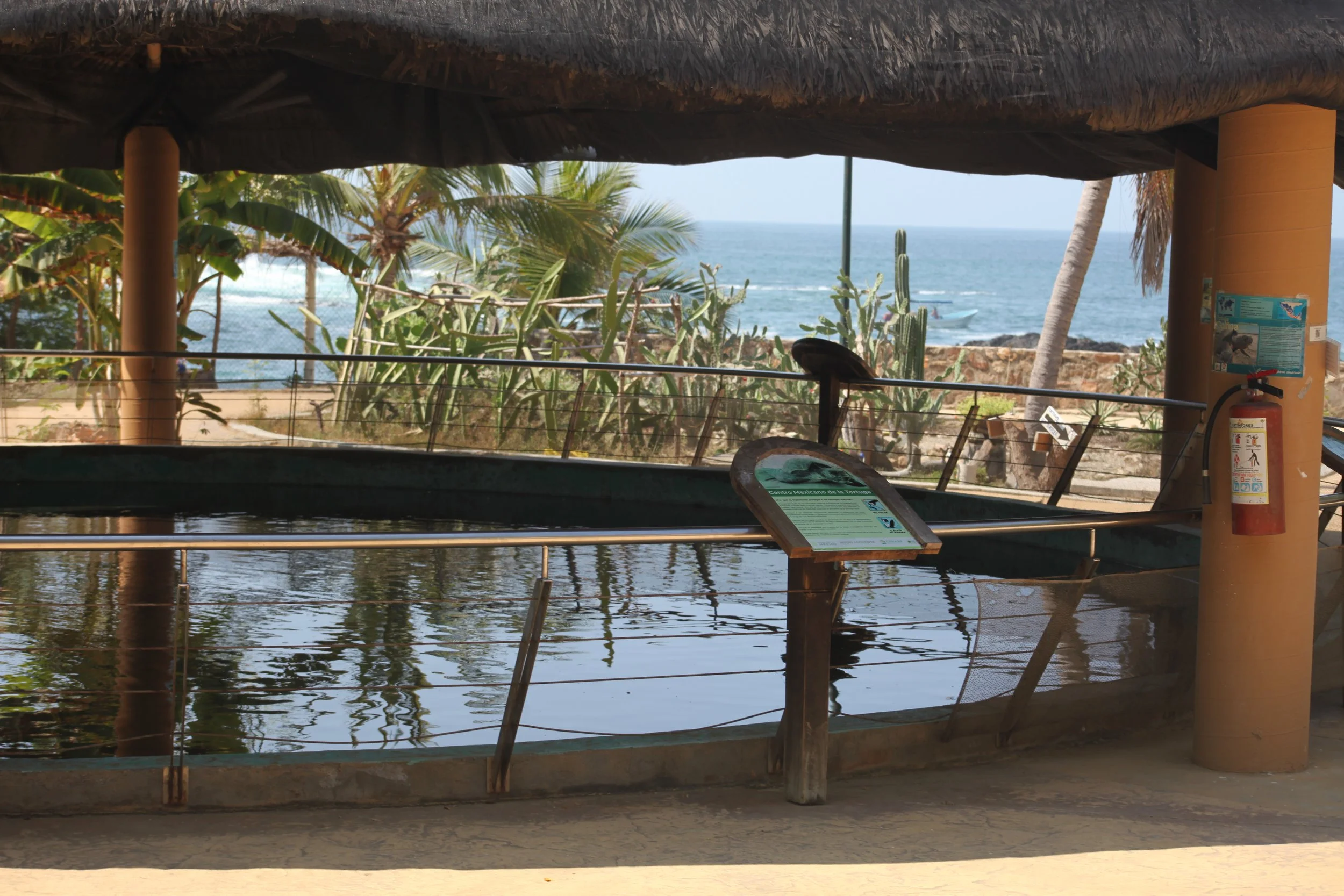 View of a tropical beach scene through a wooden railing, showing palm trees, cacti, the ocean, and cloudy sky. A thatched roof structure is in the foreground, with informational signs and a fire extinguisher mounted on a pillar.