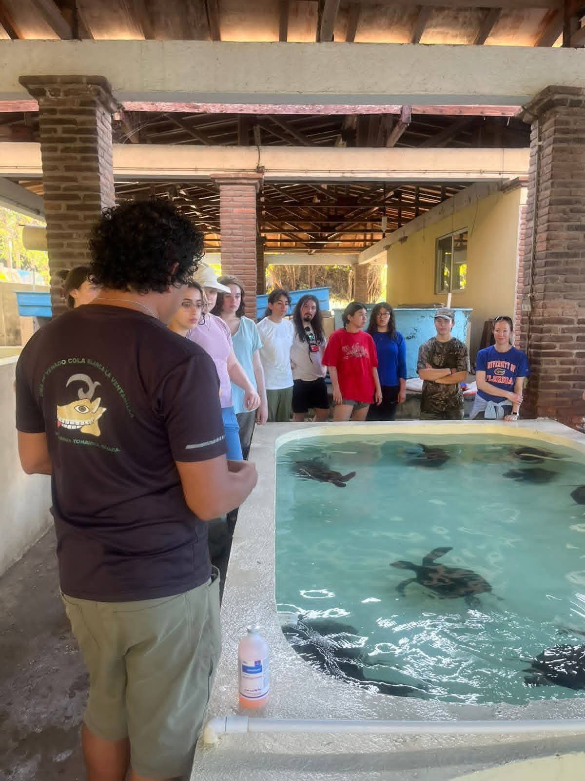 Group of people observing aquatic animals in a shallow pool at an outdoor facility, with brick pillars and a wooden roof overhead.