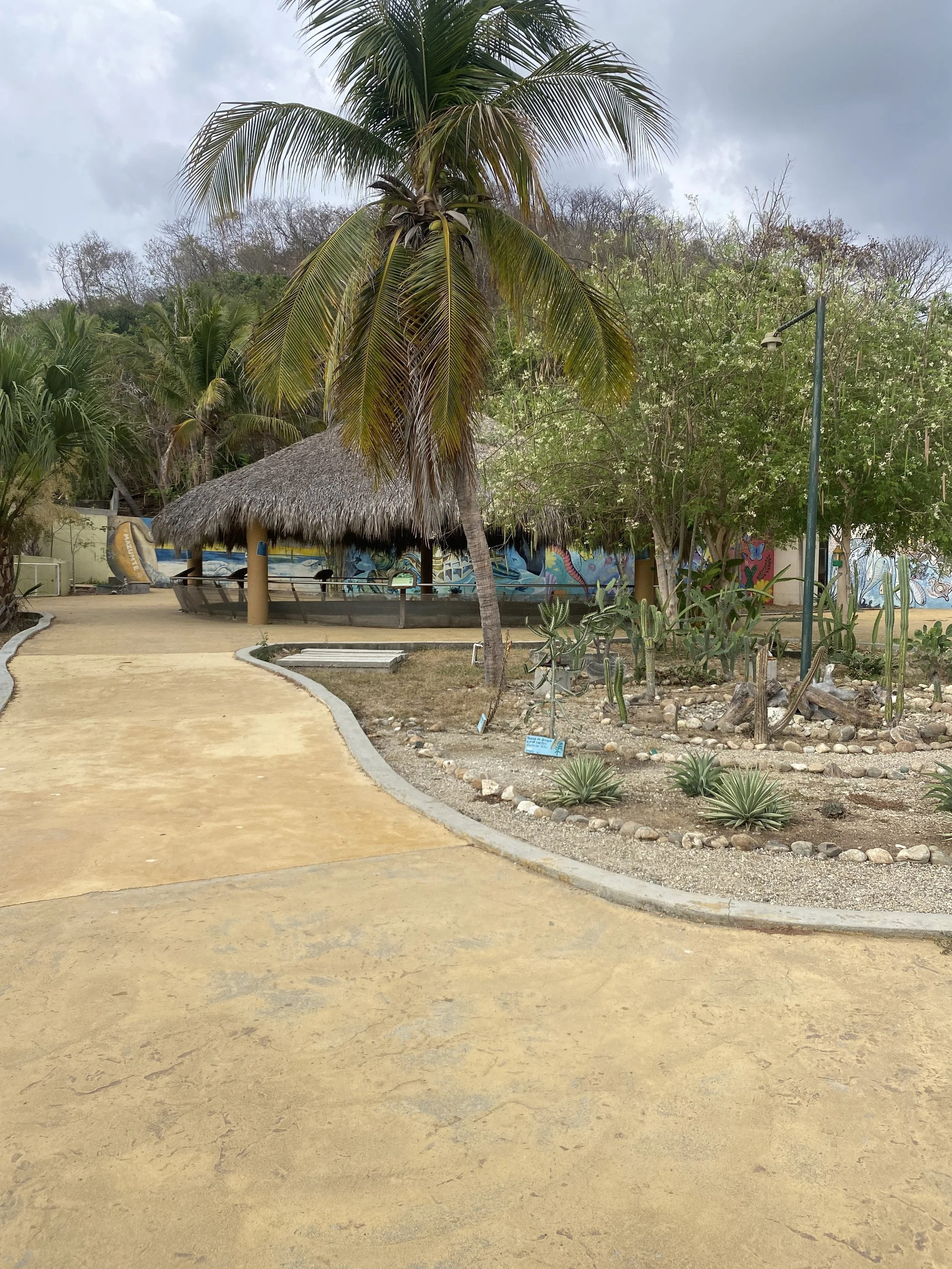 A sandy pathway curves around a landscaped area with small plants and rocks, leading to a shaded gazebo with a thatched roof, in a tropical garden with palm trees and a mural wall.