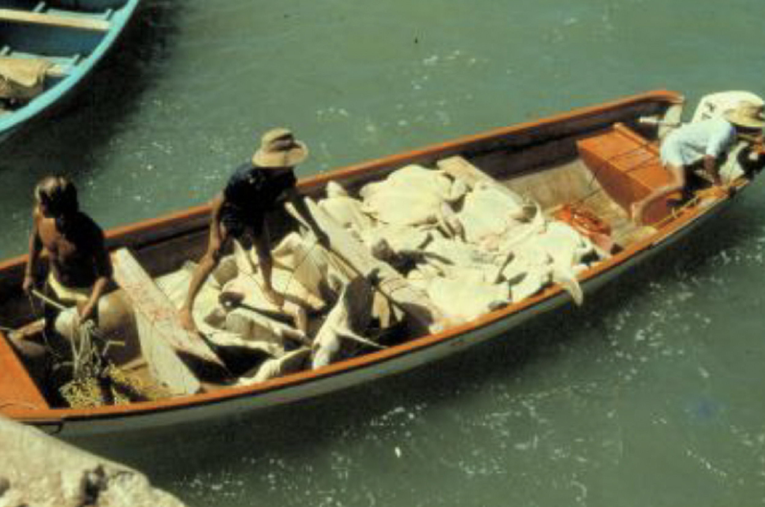 A boat on water with three people aboard, carrying a large pile of fish, with one person at the front and two at the back.