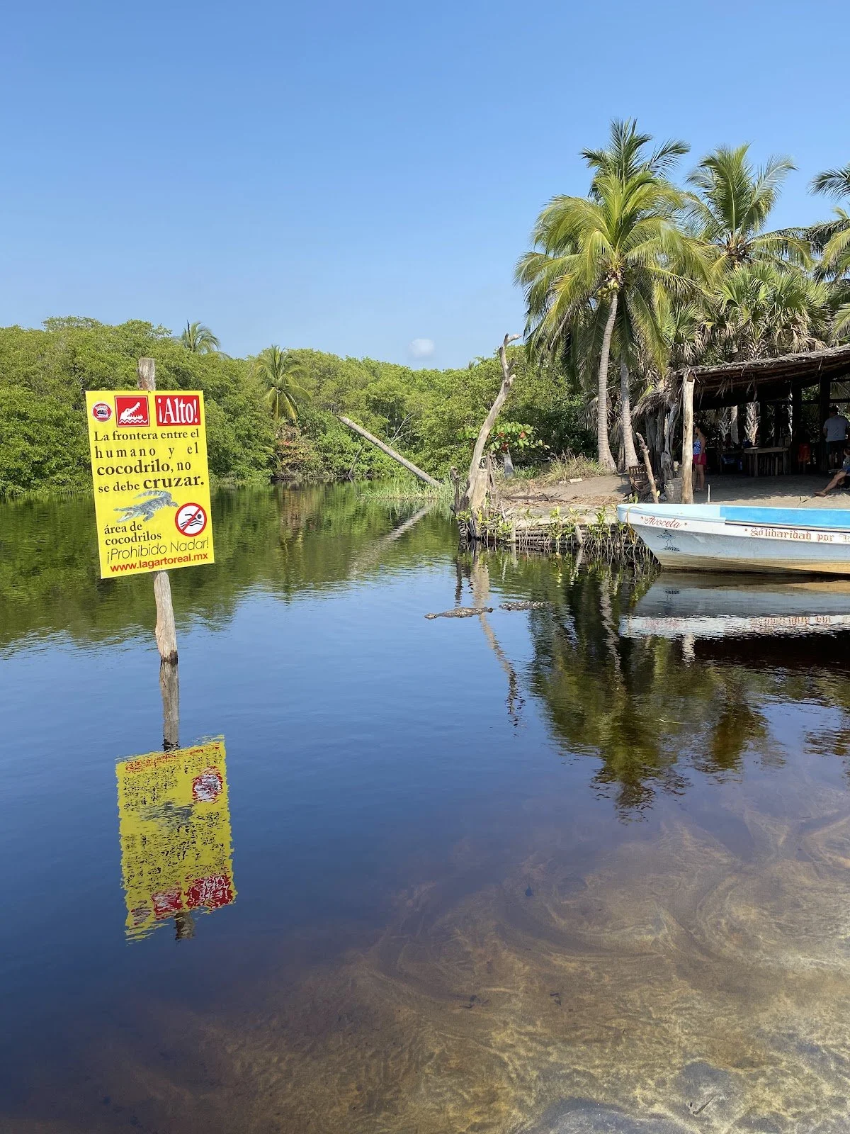 A river scene with green palm trees and a thatched hut on the right. A boat is docked near the shore. A yellow warning sign alerts about crocodiles and states not to cross the border between humans and crocodiles, with a website link.