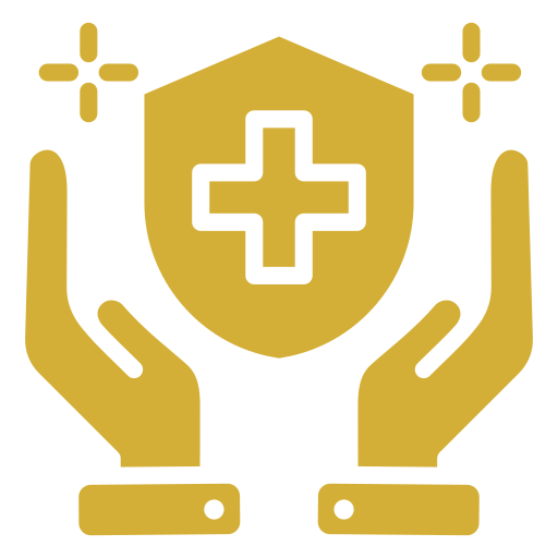 Icon of two hands holding a shield with a medical cross