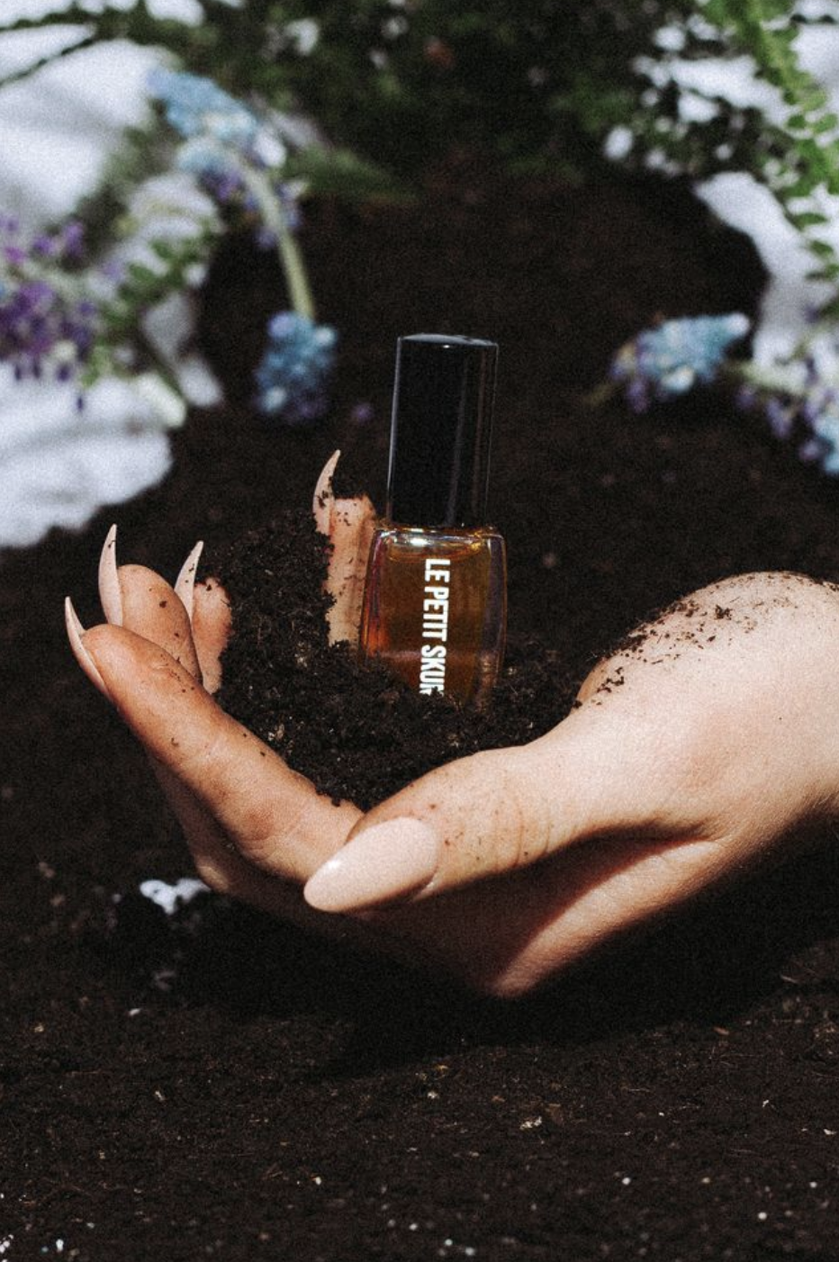 holding le petit skunk with dirt and plant in background