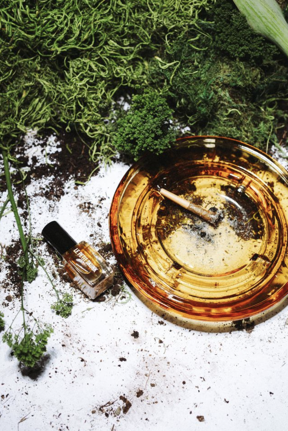 le petit skunk with ashtray and natural elements
