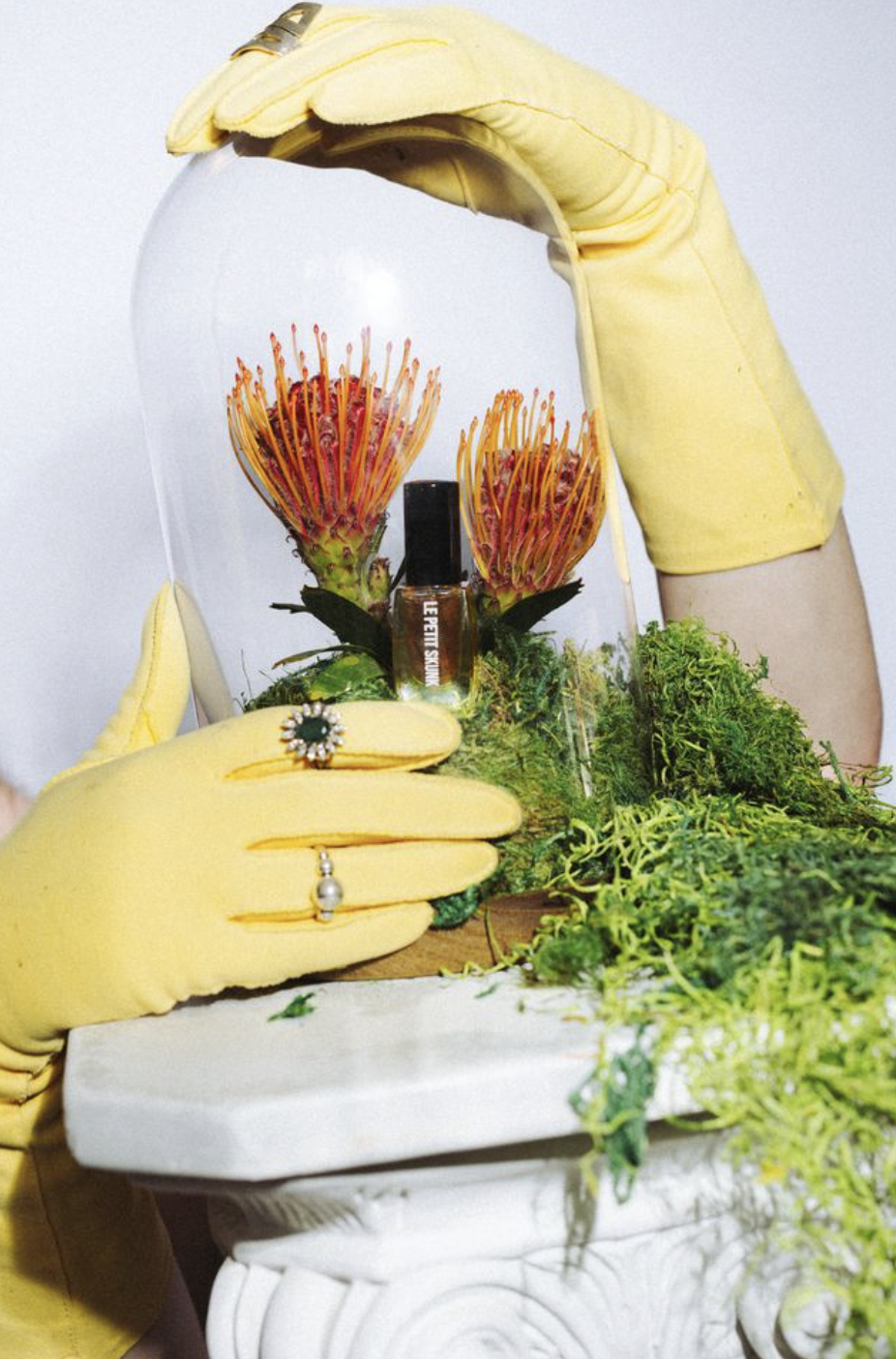 yellow opera gloves over le petit skunk display in cloche 2