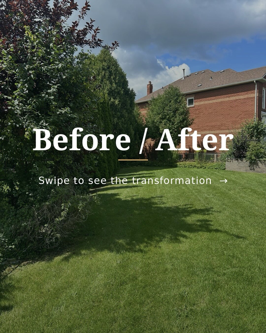 Every backyard starts as a blank canvas.

Before: an empty yard with good bones.
After: the design &mdash; pool, cabana, layered planting, and rooms for every part of the day.

This is what the design phase is for: seeing exactly where you&rsquo;re h