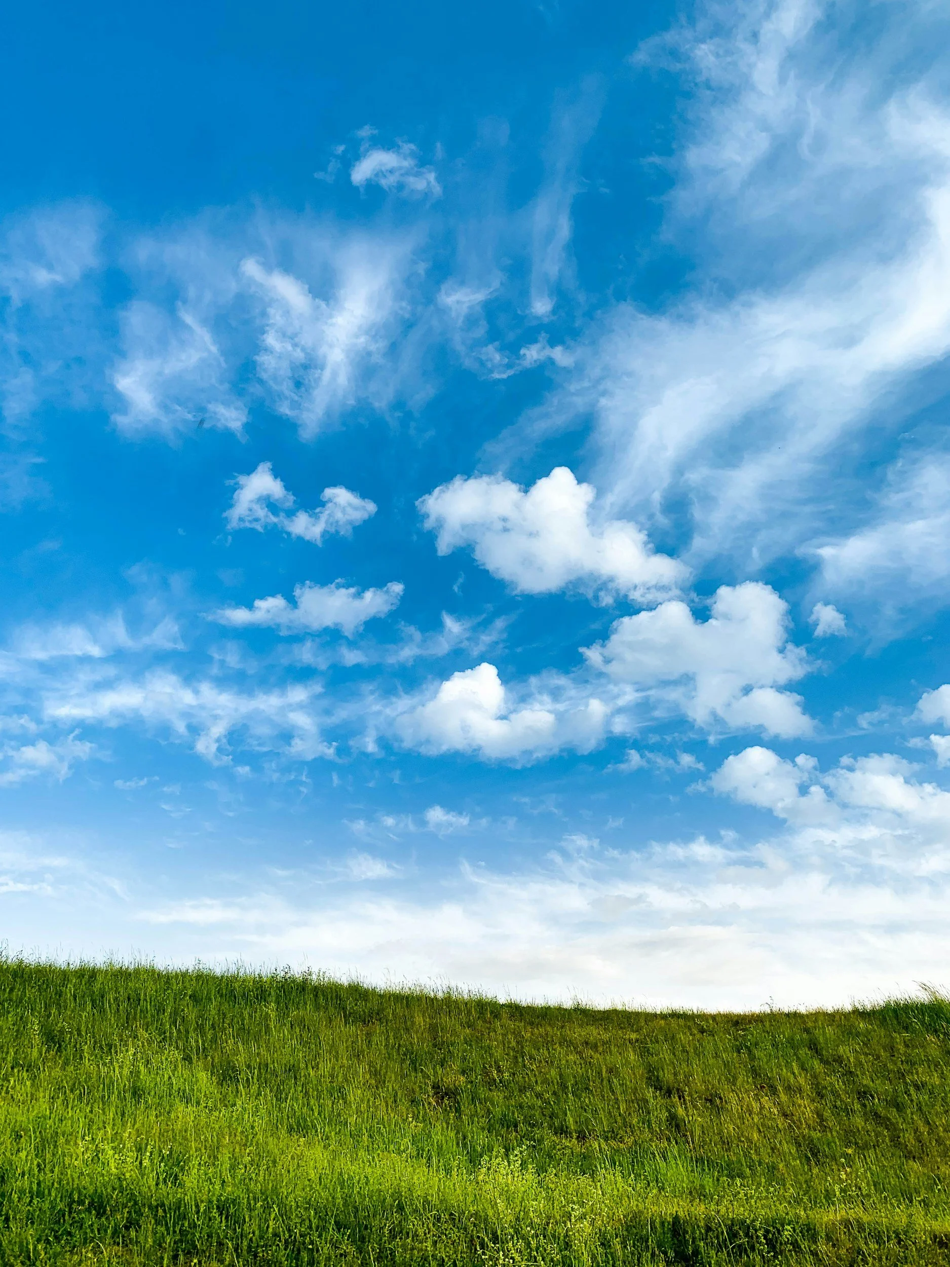 Campo de grama verde sob céu azul com nuvens brancas.