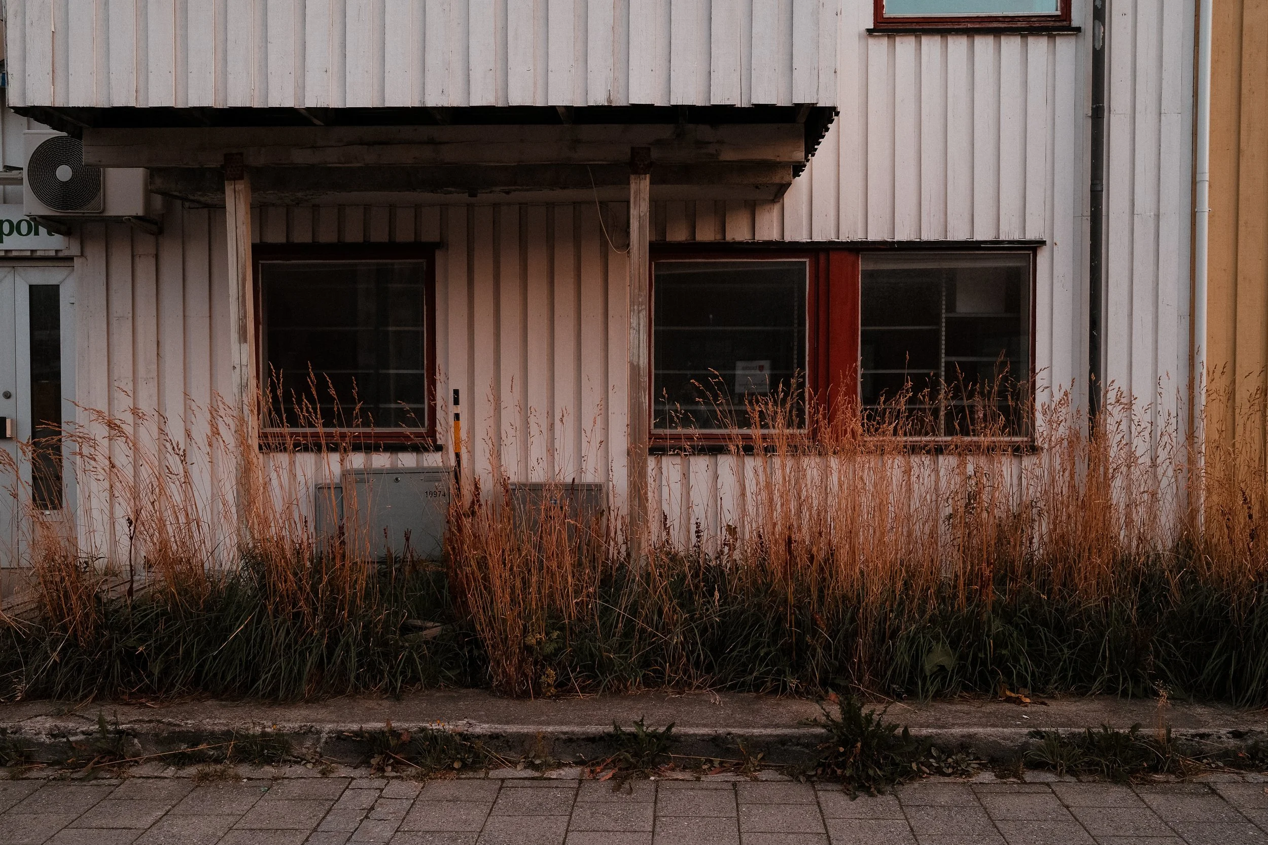 FUJI0364.jpg