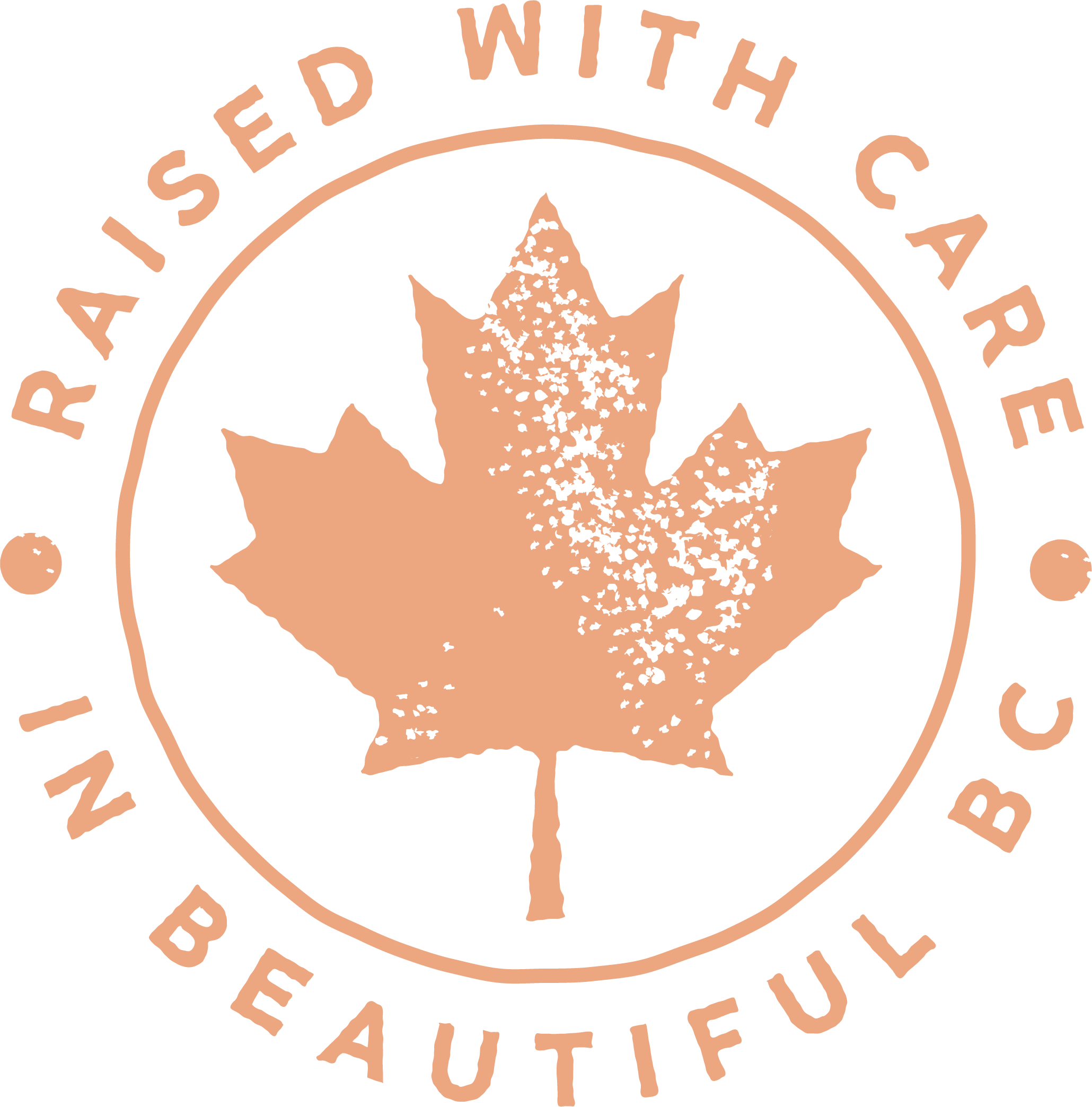 A rustic, circular stamp with a textured maple leaf in the center, encircled by the words 'Raised with care in beautiful BC'.