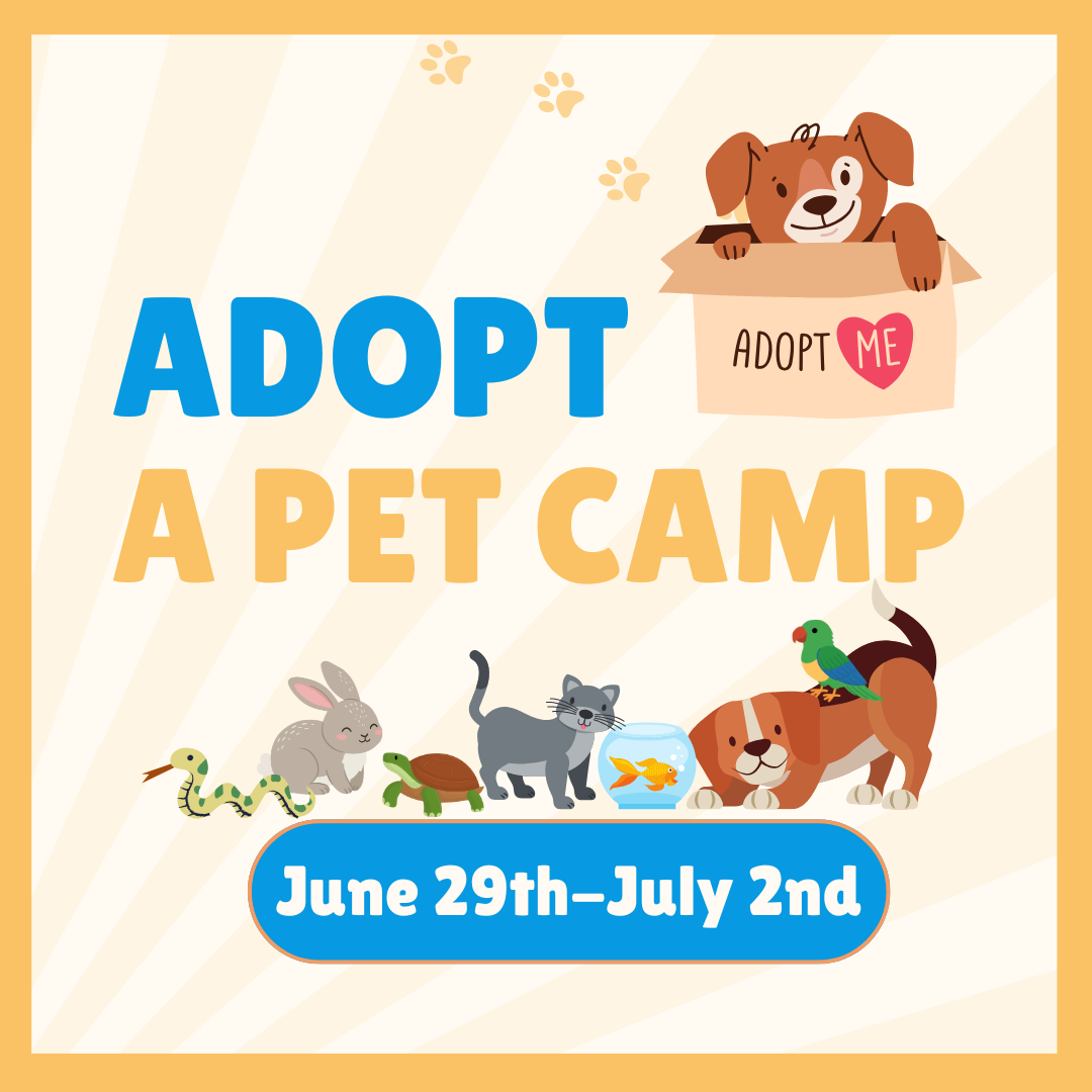 A colorful poster promoting an adopt-a-pet camp from June 29th to July 2nd. Features a cartoon puppy in a box with a sign that says 'Adopt Me,' along with illustrations of a rabbit, snake, cat, fish, and two dogs, one with a bird on its back.