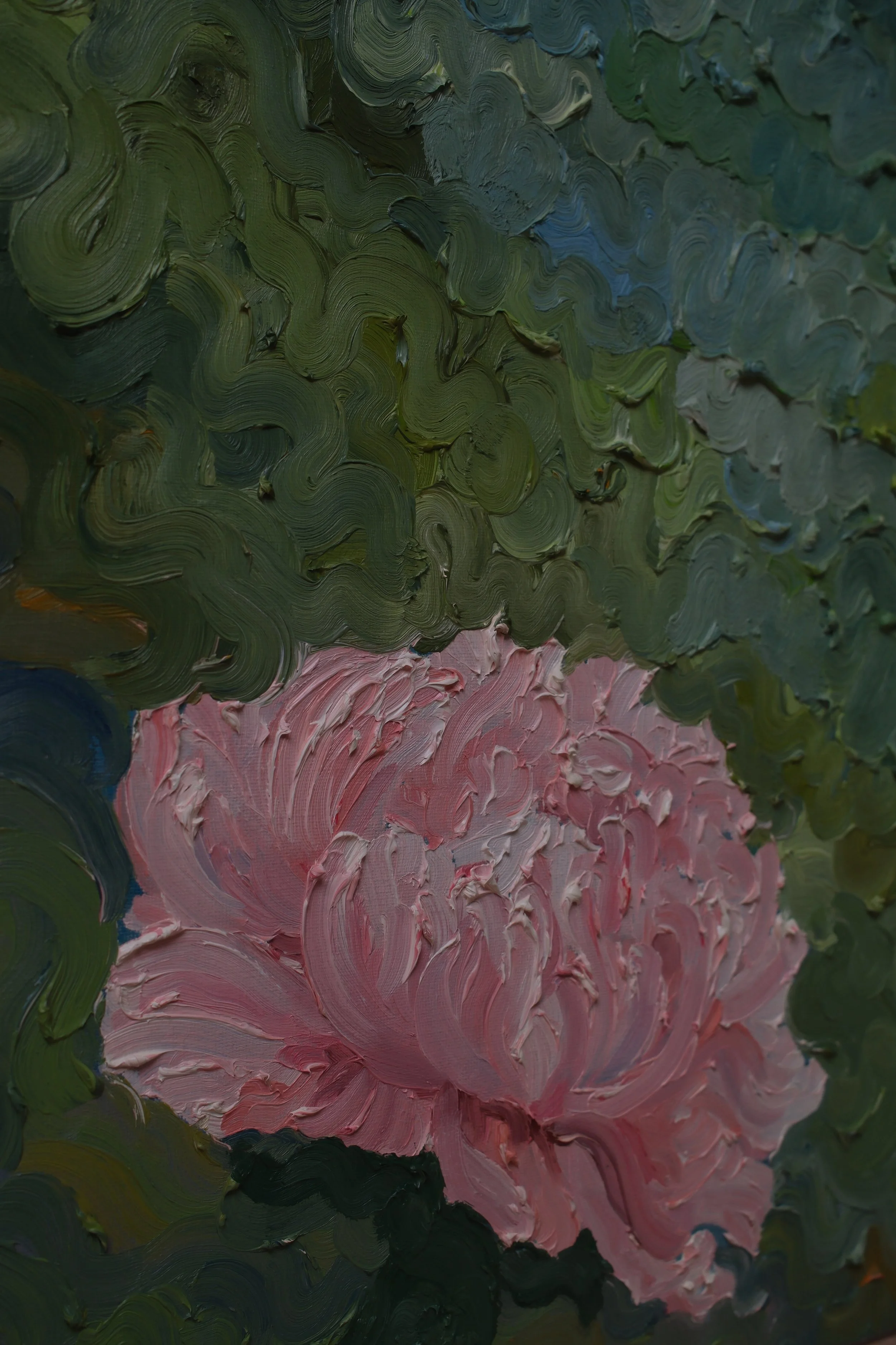 DSCF1323.jpg
