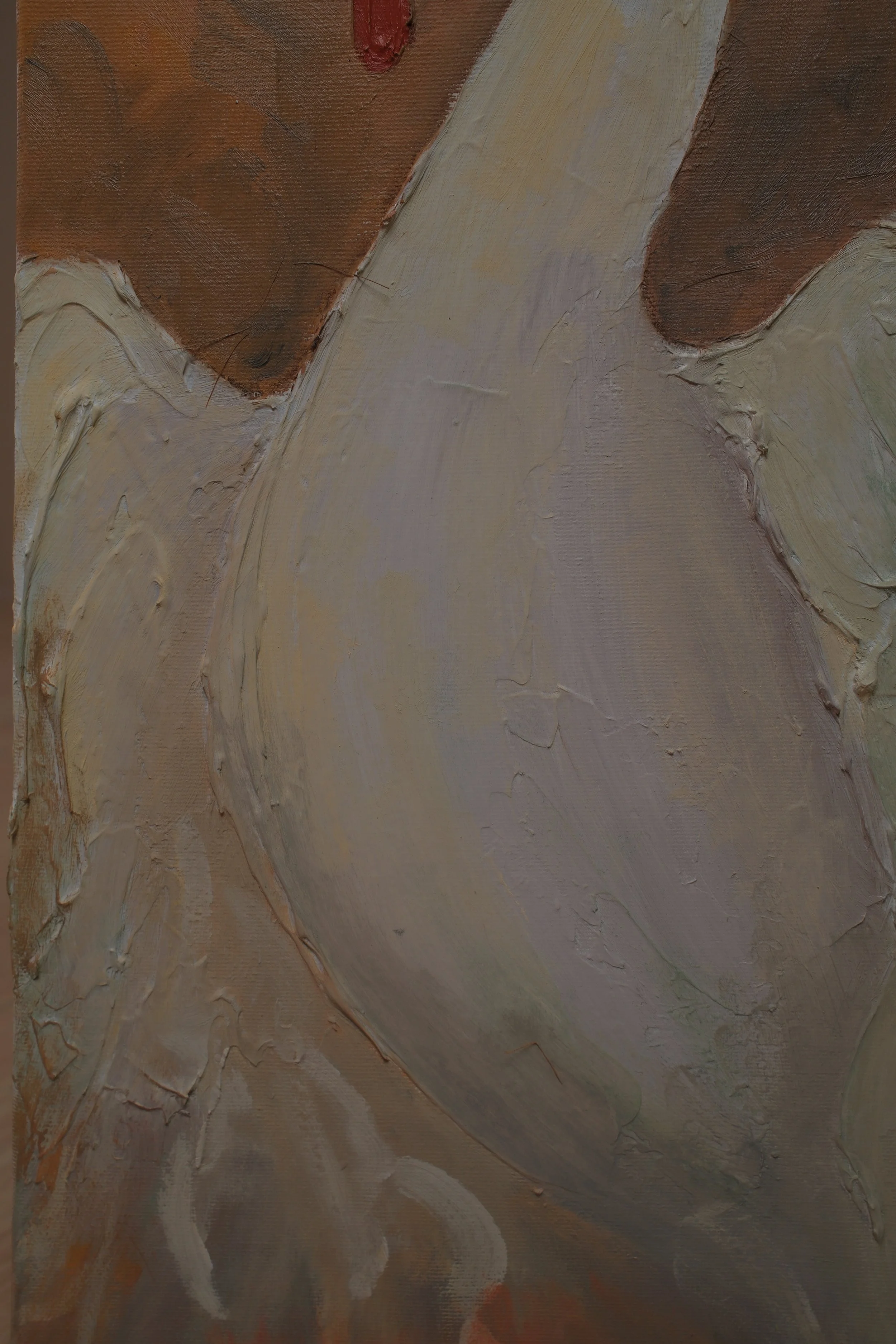 DSCF1356.jpg