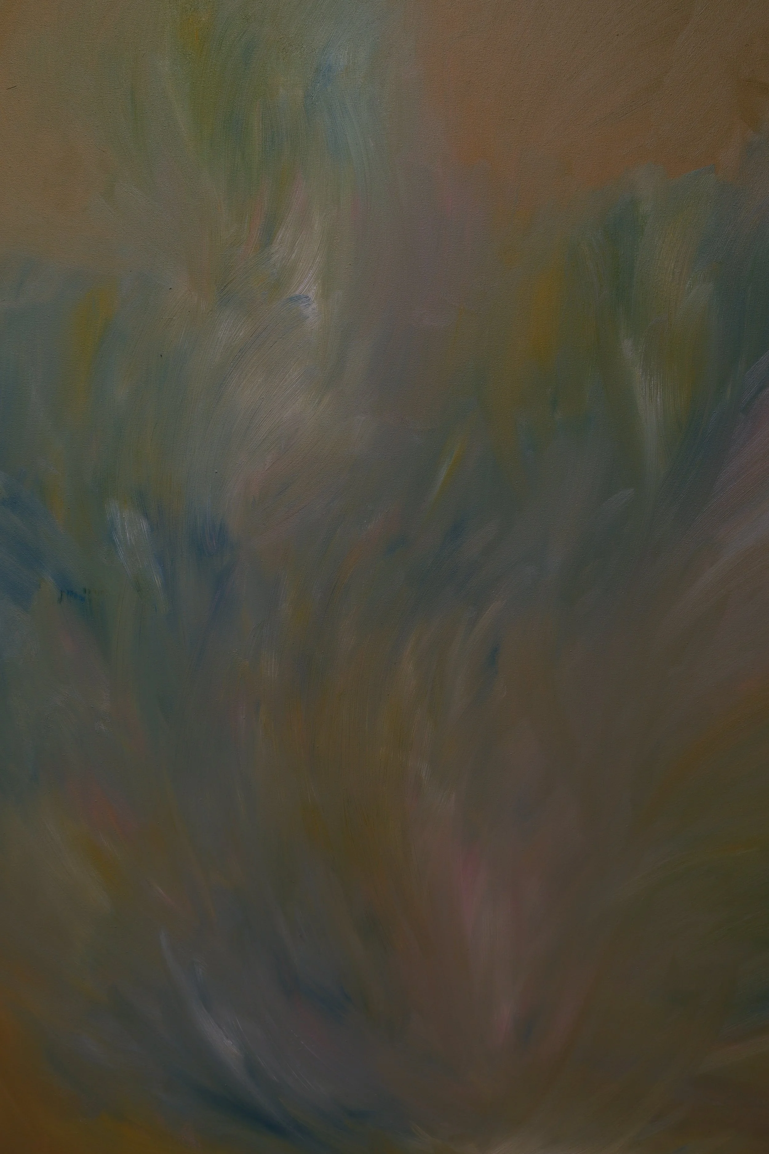 DSCF1337.JPG