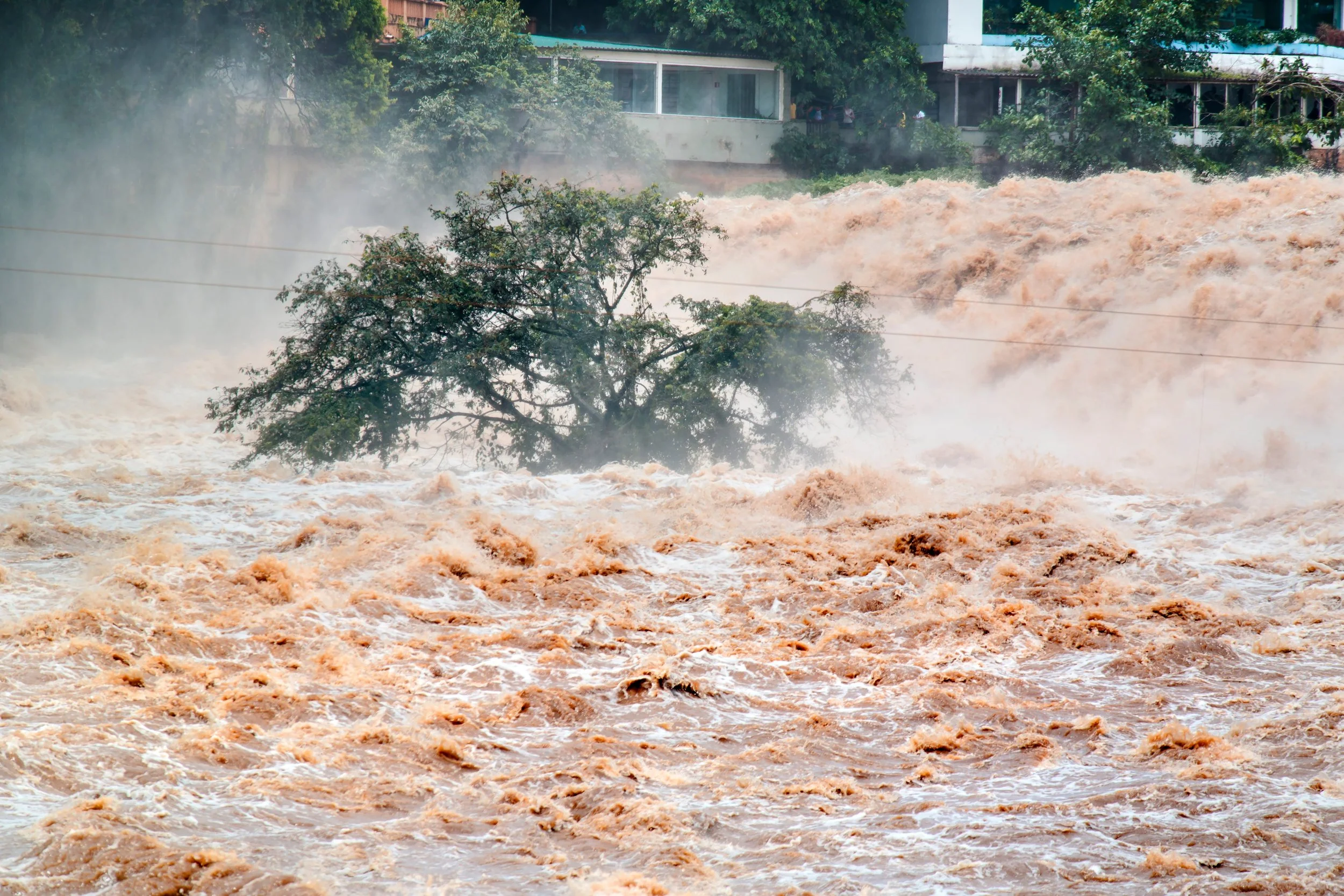 Floodwaters rushing with a brownish color, partially submerging a tree and flowing past houses in the background.