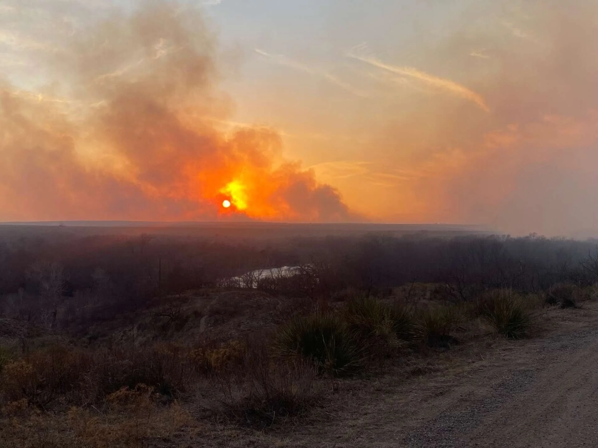 View of a sunset on the horizon with orange and yellow hues, over a flat landscape with sparse vegetation and a few trees.