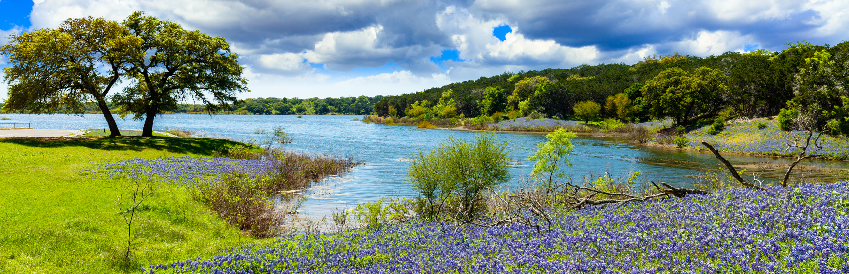 Scenic view of a river with a large tree on the grass bank, surrounded by green bushes and purple wildflowers under a partly cloudy sky.