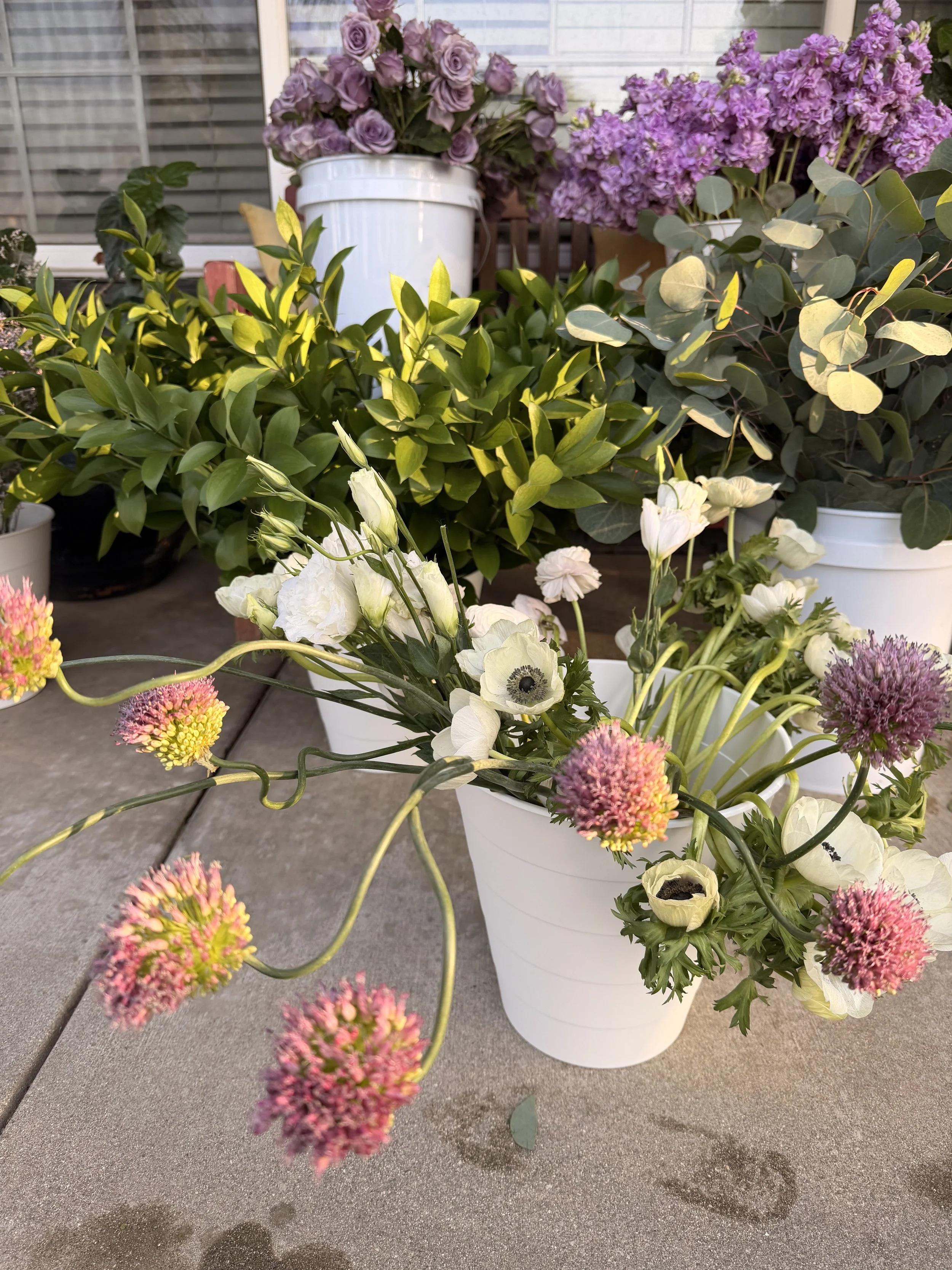 A collection of potted flowers on a patio, including white anemones, pink and purple allium, and other blooming flowers in white pots with a window and siding in the background.