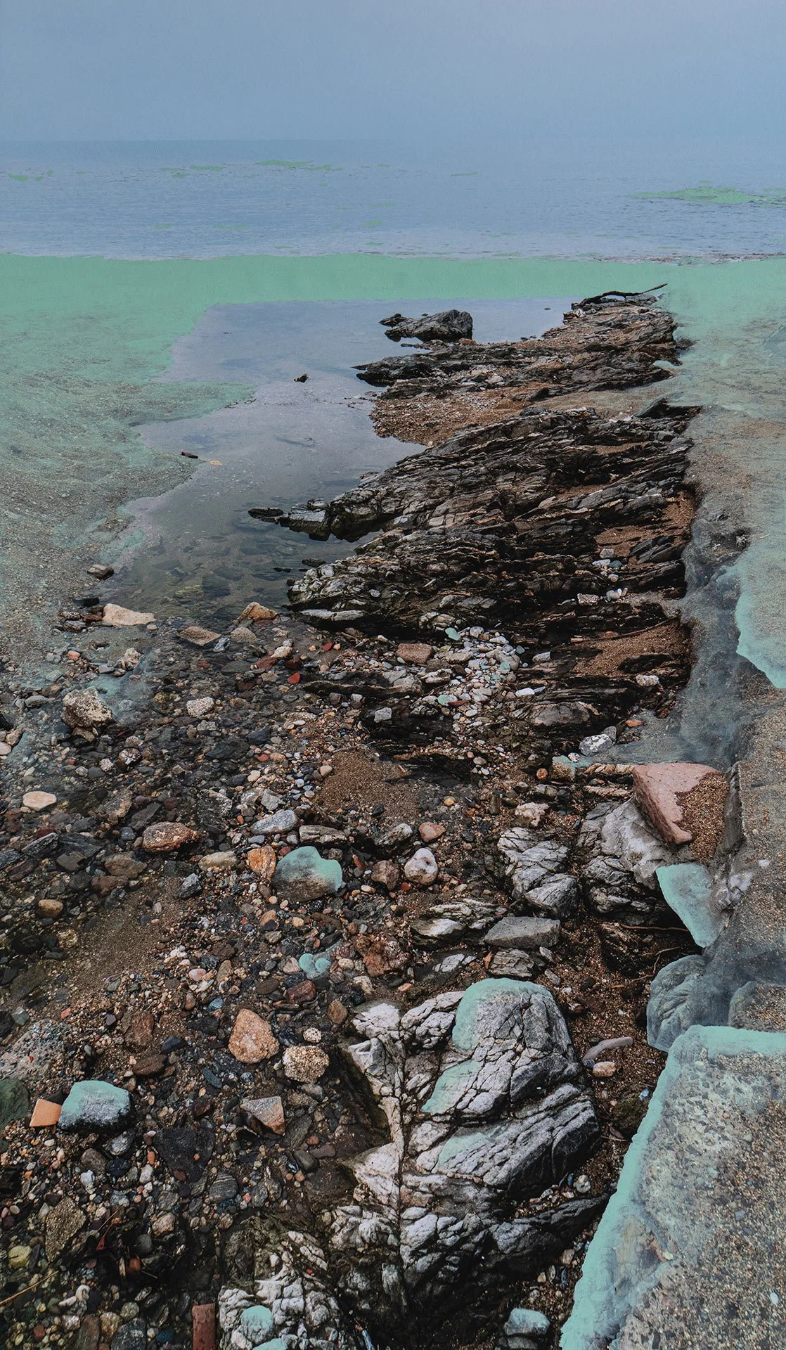 volver de un salto mar verde 1.jpg