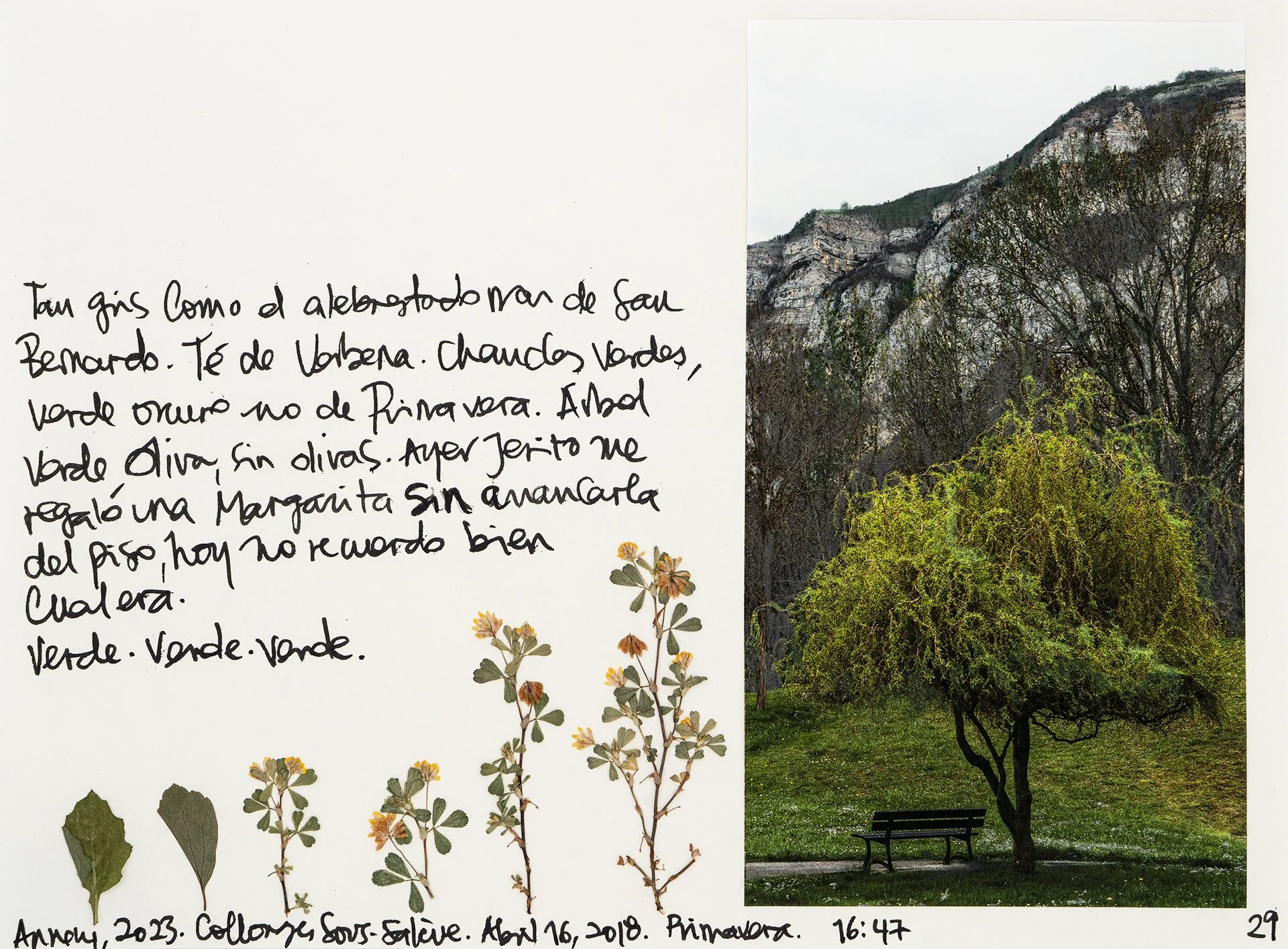 le saleve 29.jpg